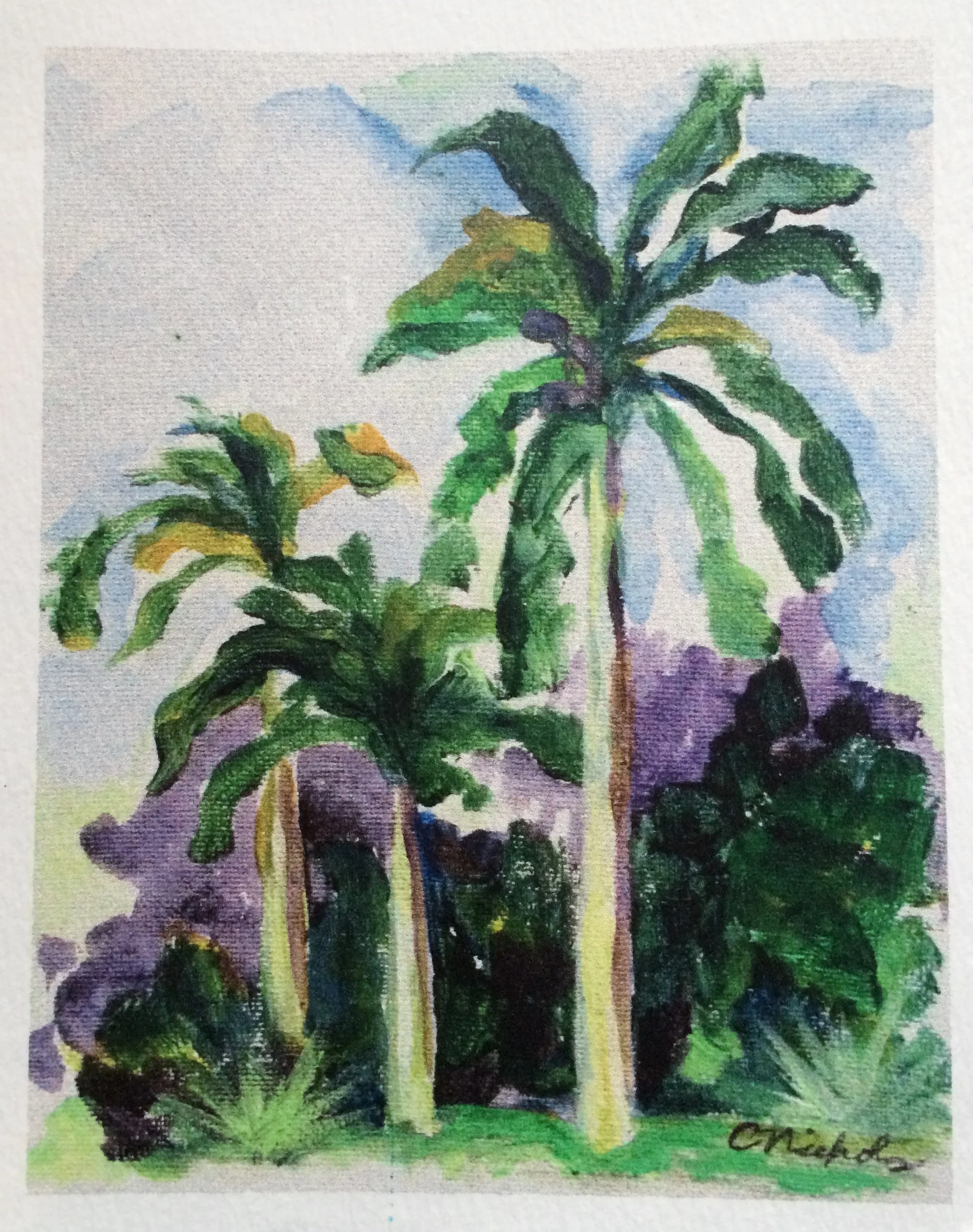palm trees 3.jpg