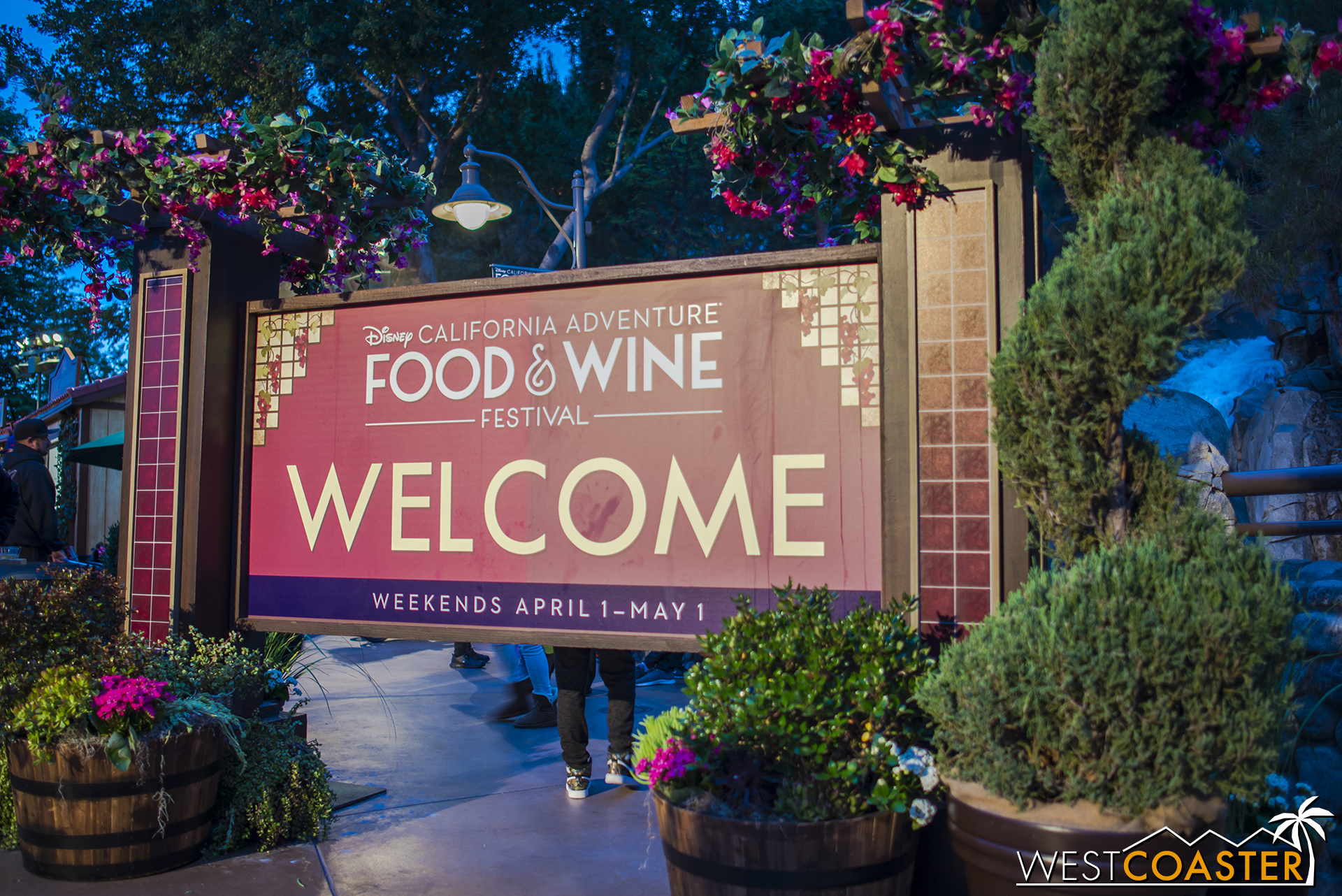  It was great to have the Food and Wine Festival back again after a five year hiatus. 