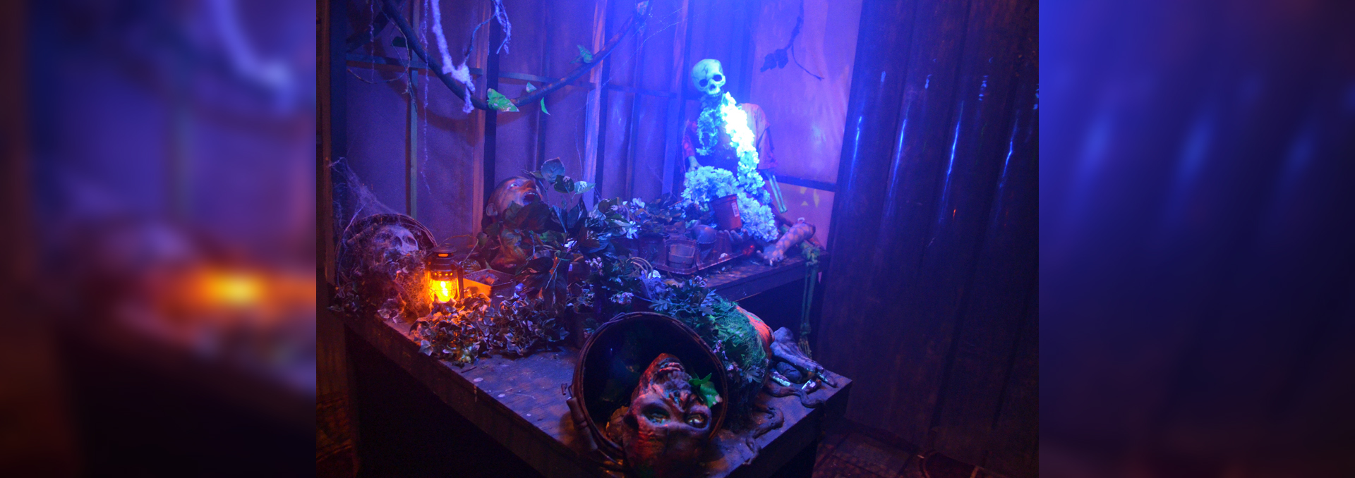 Spooky Hollows haunt. (Image courtesy of Midsummer Scream)