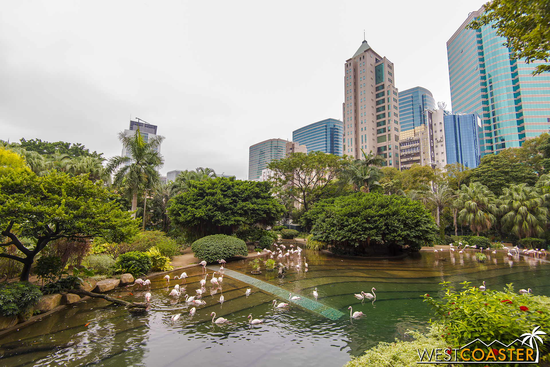 Kowloon Park offers nature in the middle of the city, including some zoological exhibits.