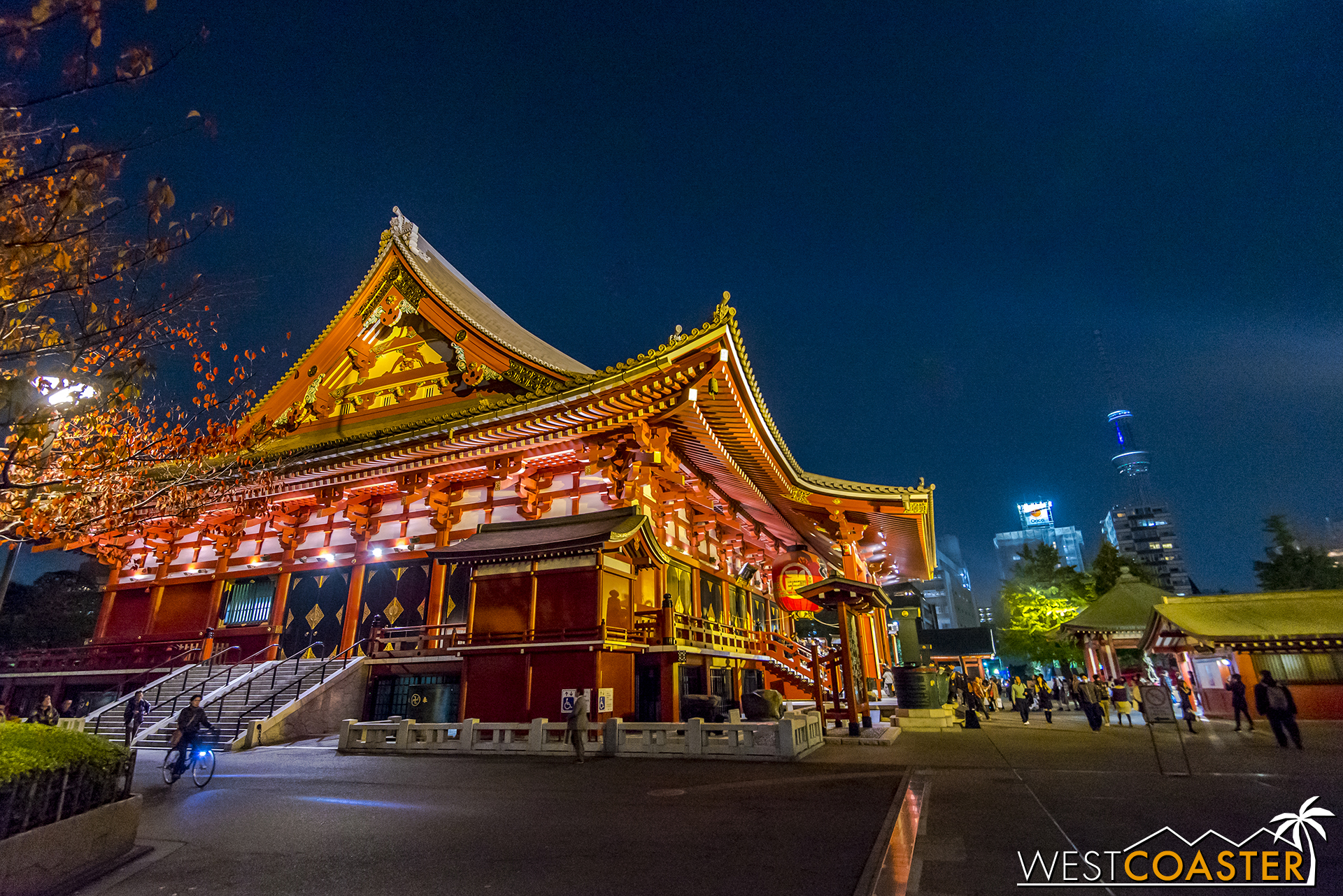 You couldn't tell in this night shot, but Senso-Ji Temple is an extraordinarily busy and tourist-oriented temple near Akihabara.
