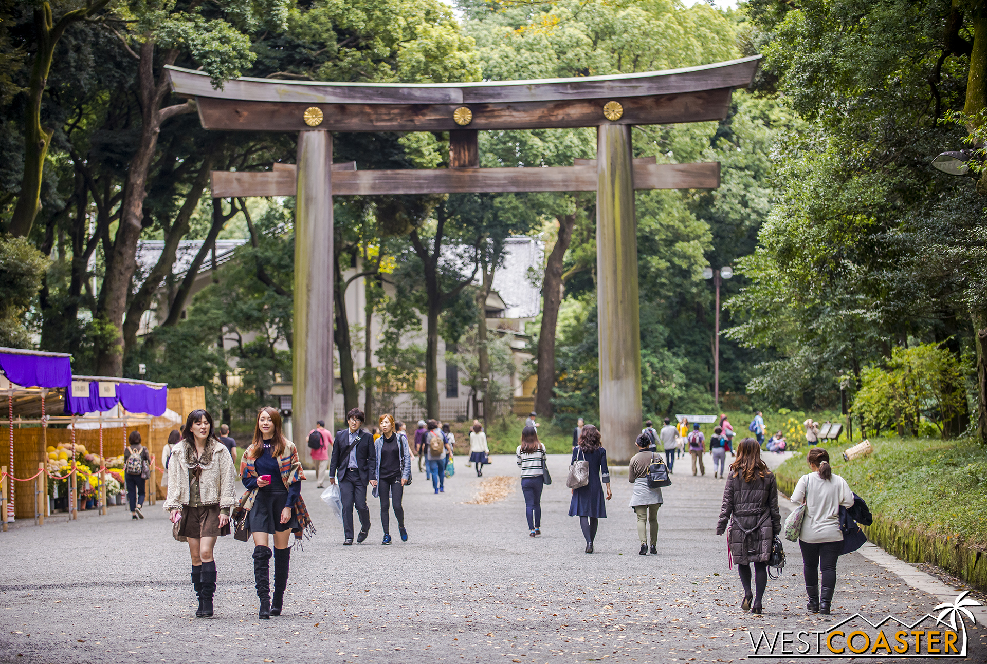 Yoyogi Park is massive and is also where tourists can find Meiji Jingu Shrine.