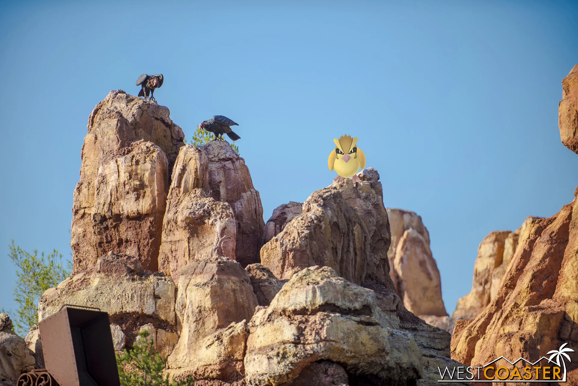Carrion birds, stand watchfully over the parched landscape.