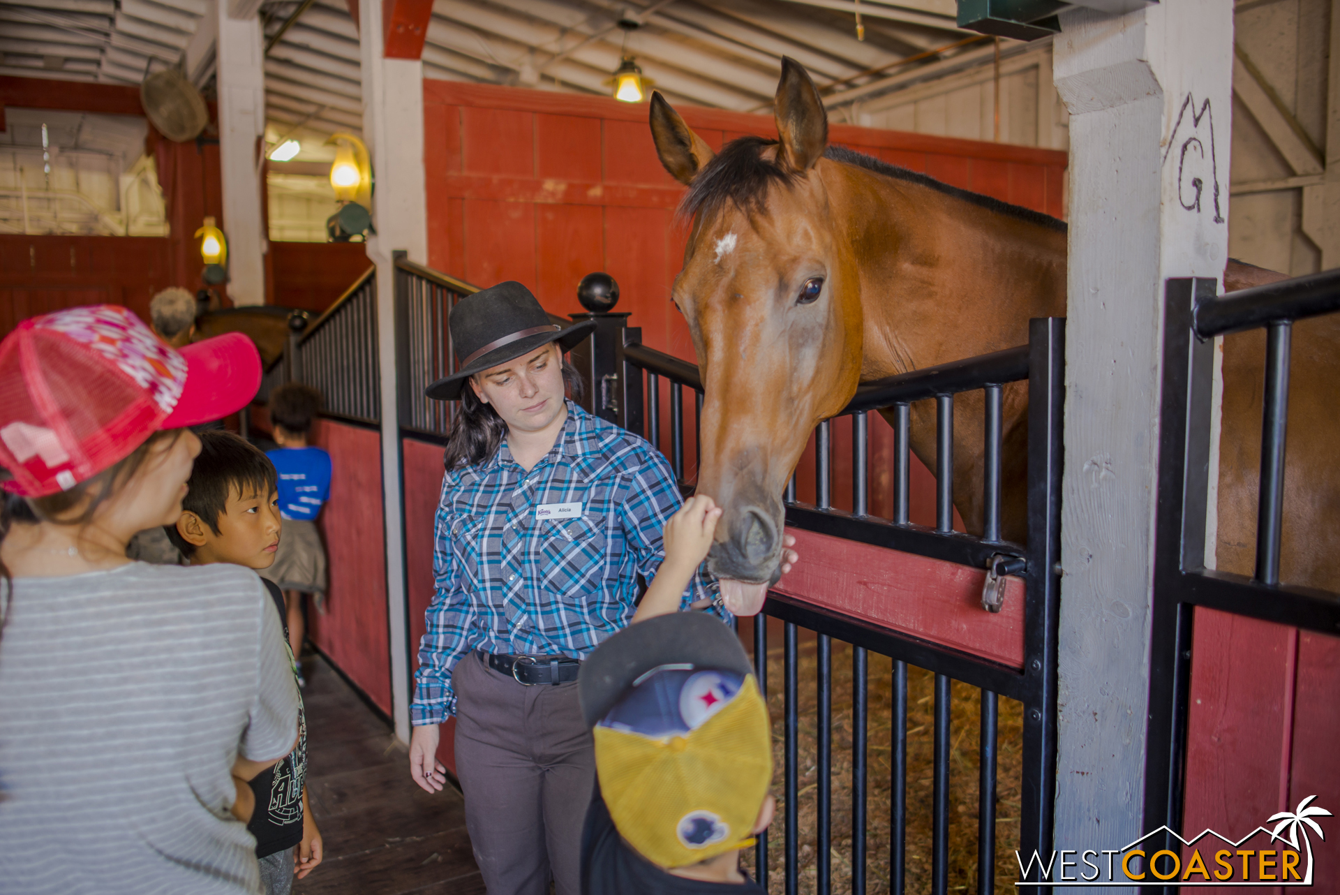  Guests could also pet some beautiful horses. 