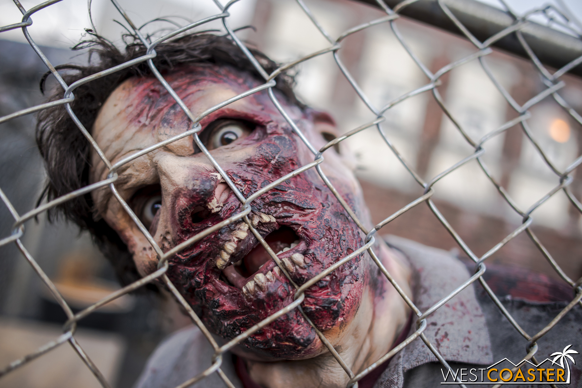 Yes, zombies will once again return to Halloween Horror Nights at Universal Studios. And probably also water sprays, misdirection->loud sound effect->strobe scares, miscellaneous odors, fire towers, dancing girls, and chainsaws.