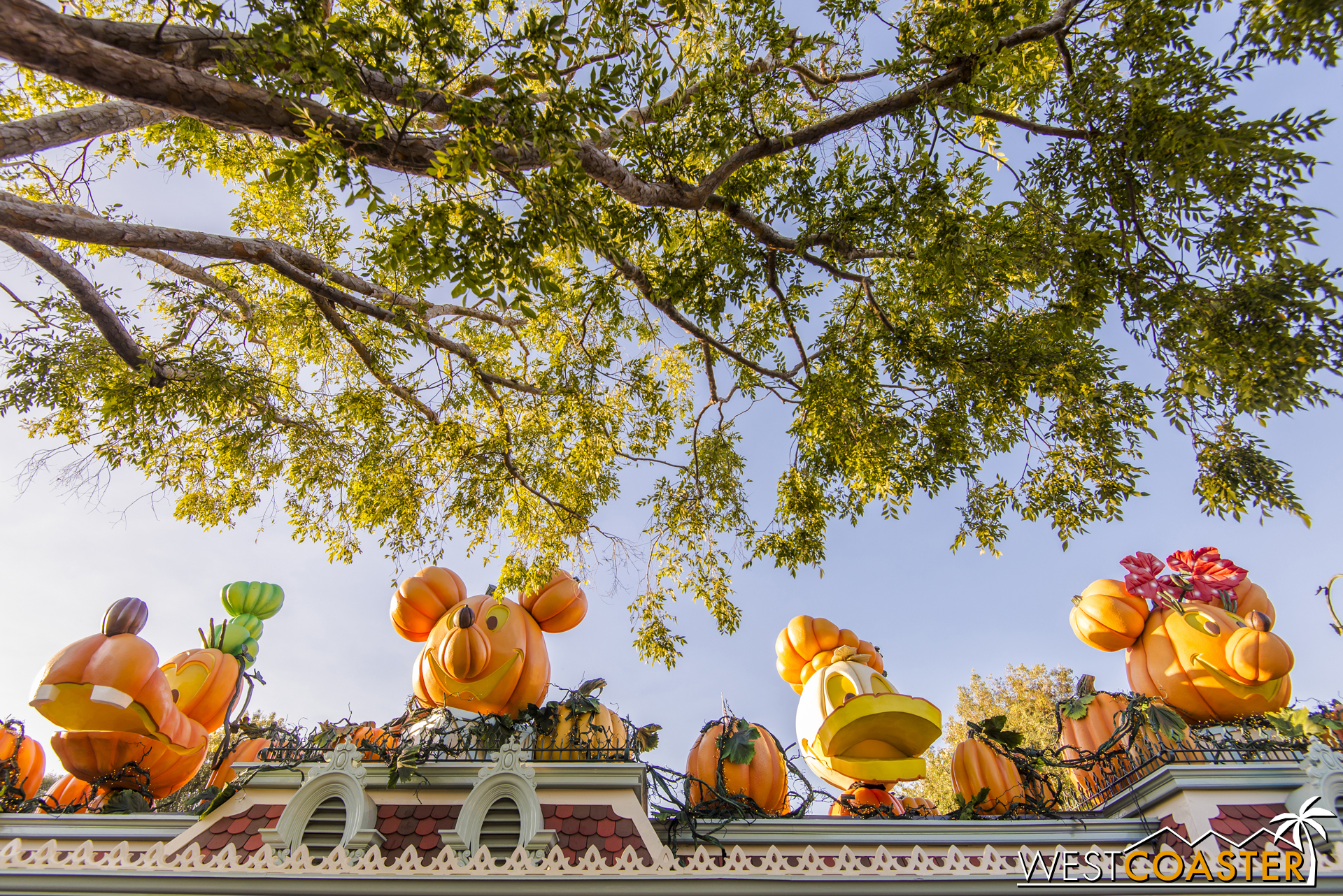  Those pumpkin Disney characters are back across the entrance gates of Disneyland Park. 