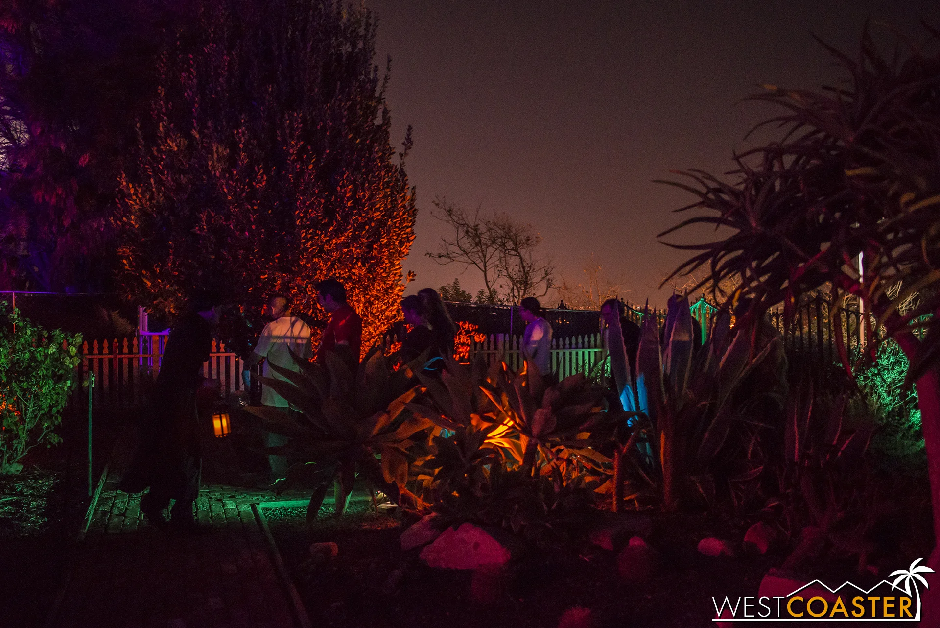 Then guests went into the garden.