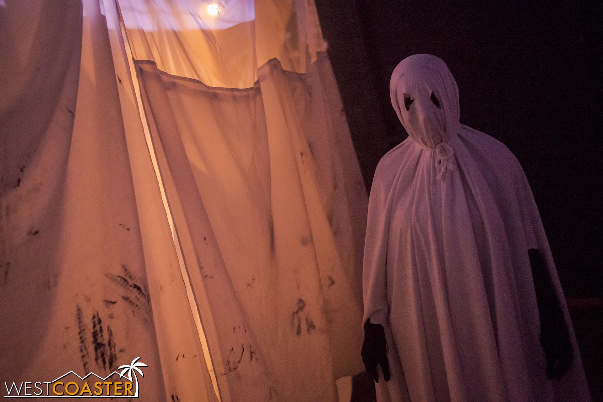 This was kind of fun, with "ghosts" flying around and startling guests.