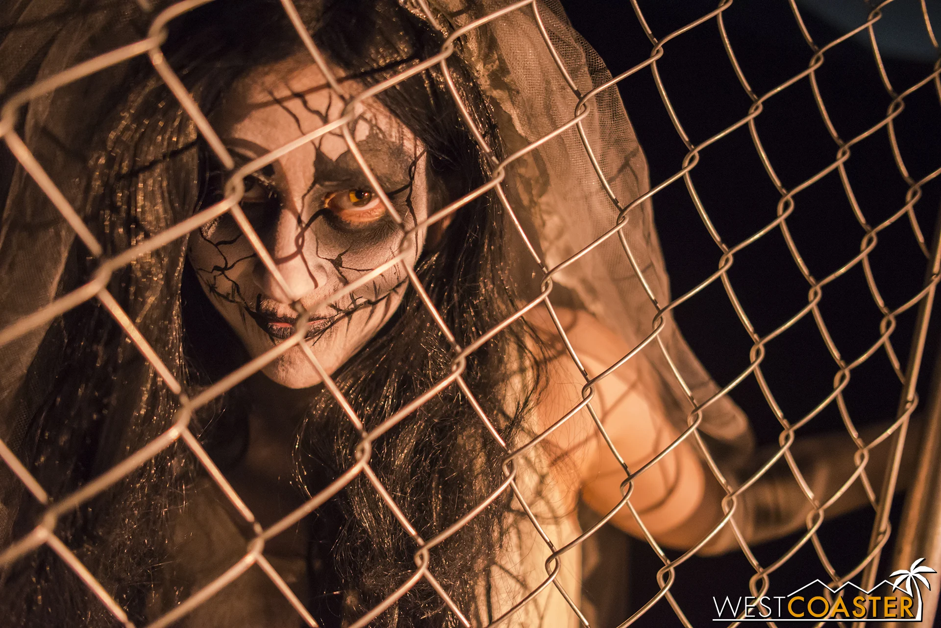 She had been trapped and was hoping for rescue. But as it turns out, this was a ruse, and a trap pivot gate allowed her to turn the tables and entrap the guests instead!