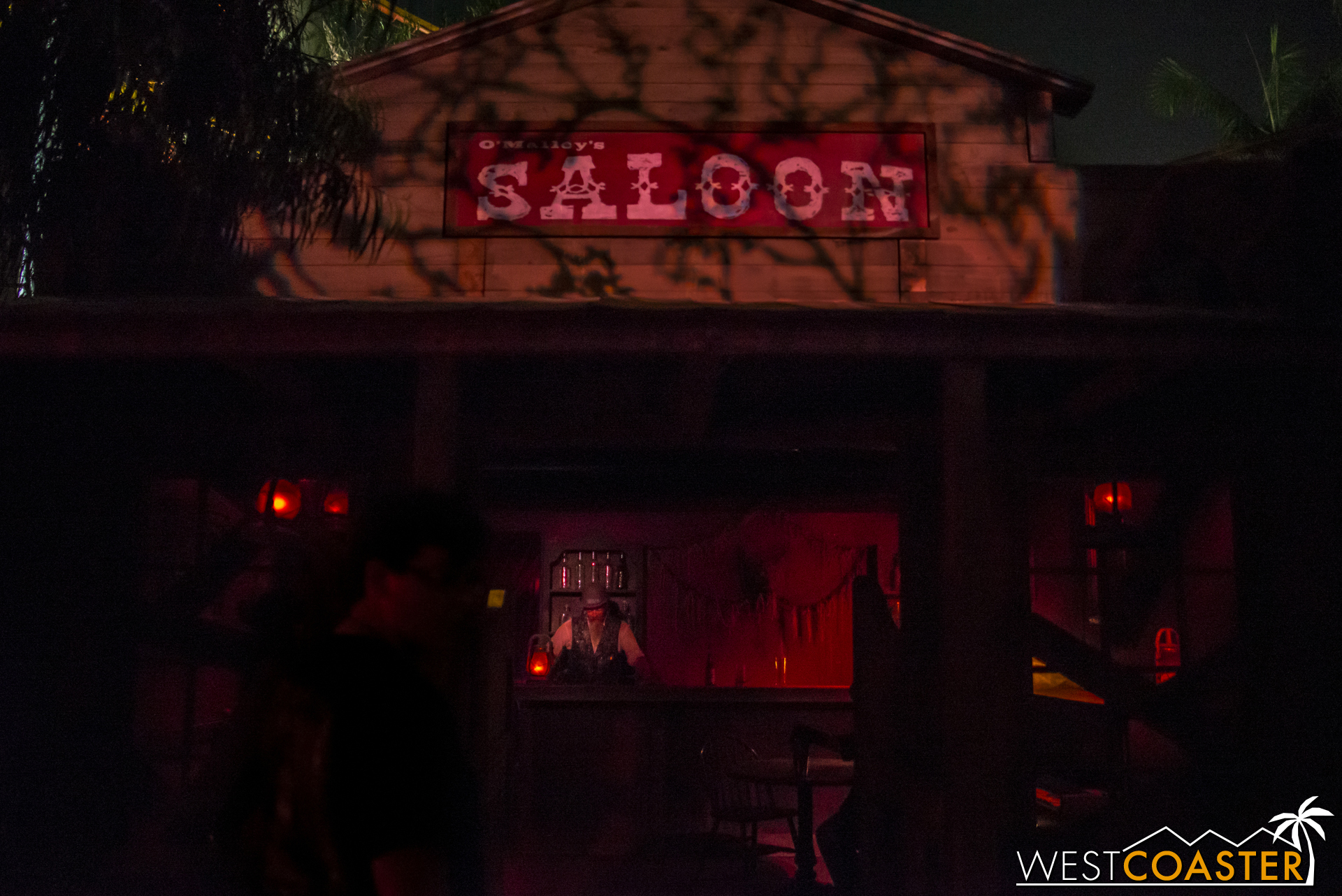  The lairs are dark and hard to photograph, so we skip over to the saloon. 