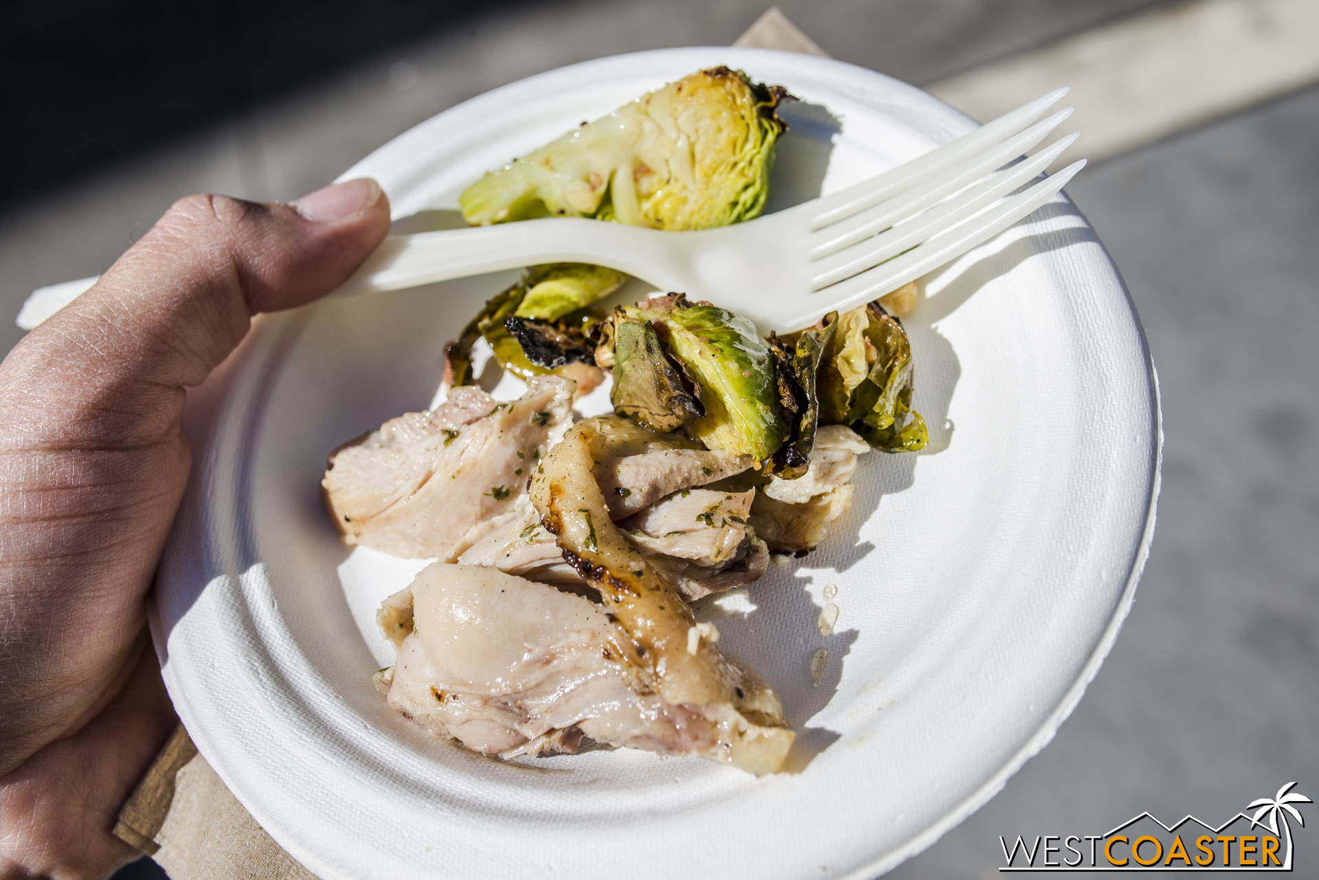  Roasted chicken and roasted brussels sprouts.&nbsp; They were pretty tasty! 