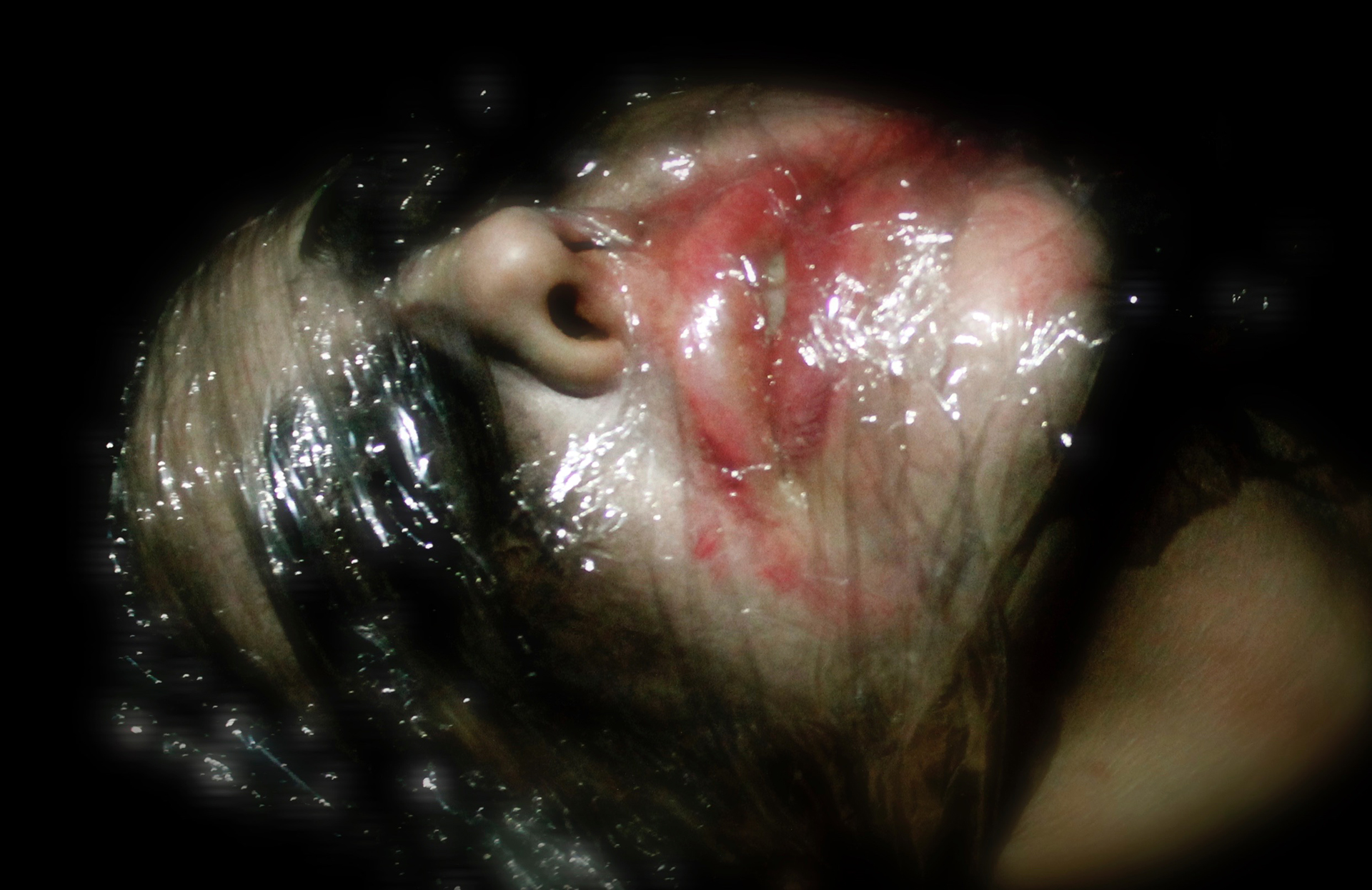 (Image courtesy of Zombie Joe's Underground Theatre.)