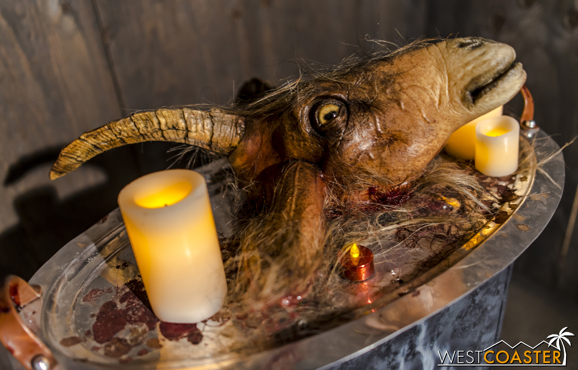 There's a photo op once guests enter and before they start the actual maze, and people can pose with this goat head, named Billy!