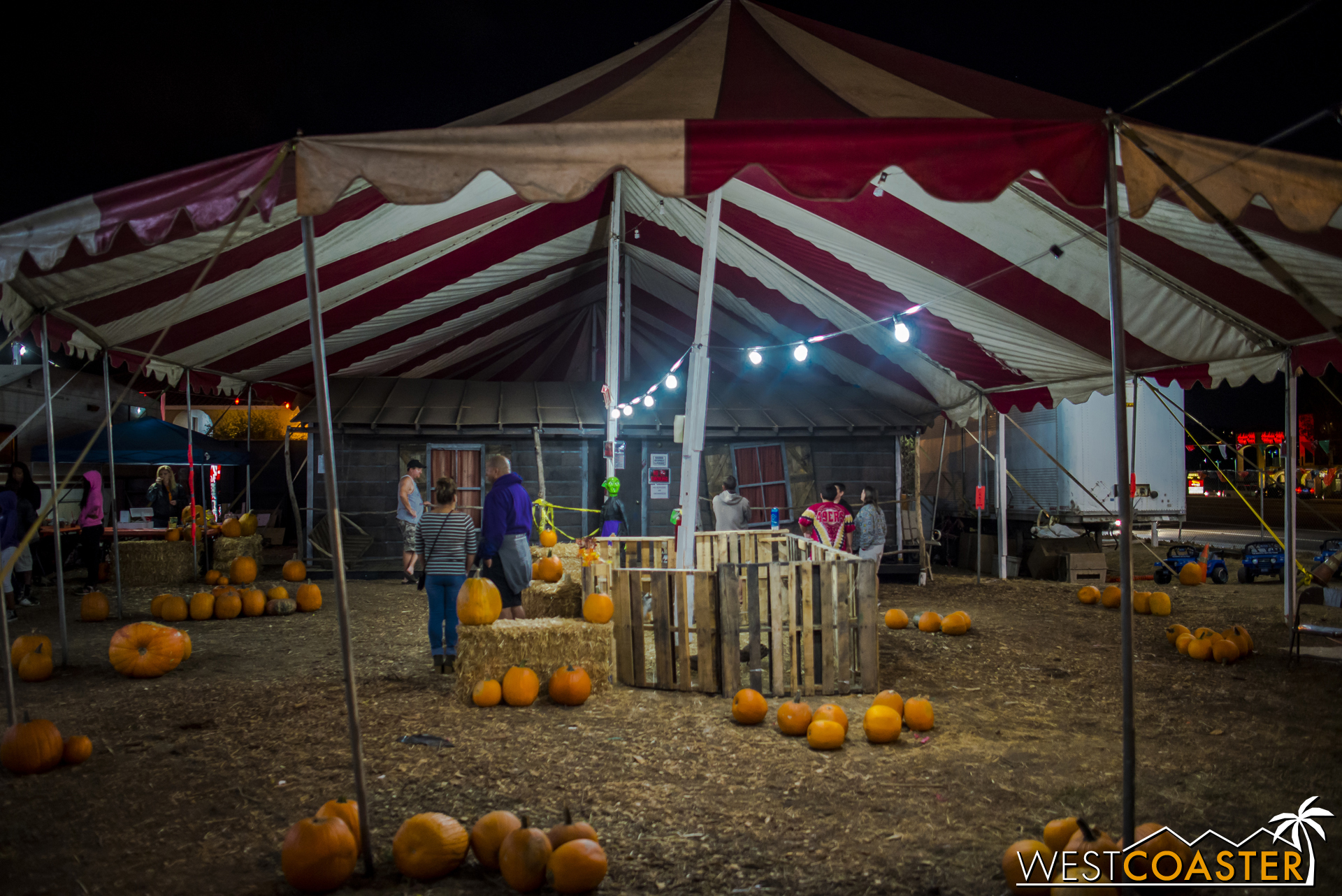 A pumpkin patch fronts the plot of land for The Fleshyard.