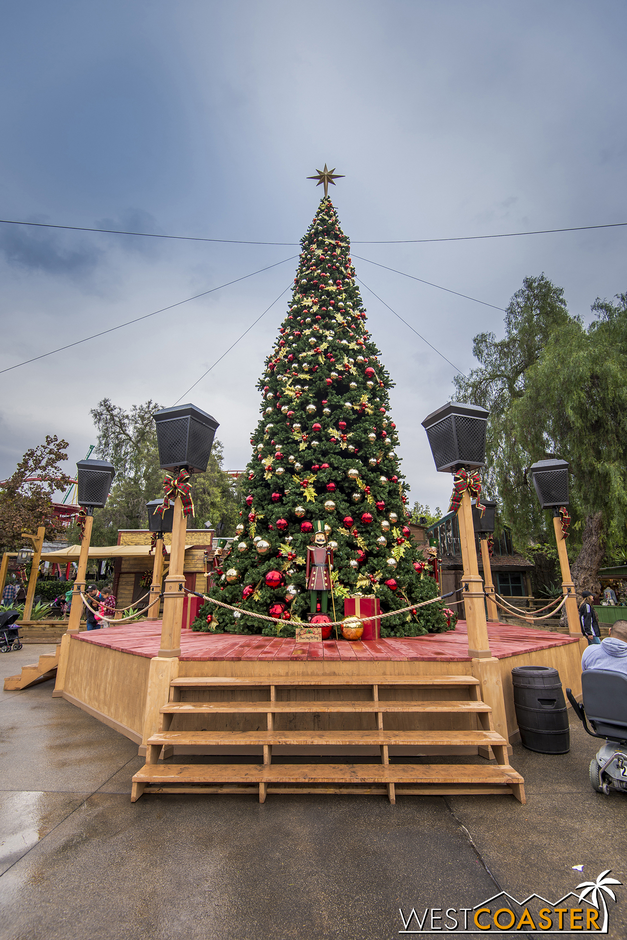 Calico Park's Christmas tree rises tall above Ghost Town.