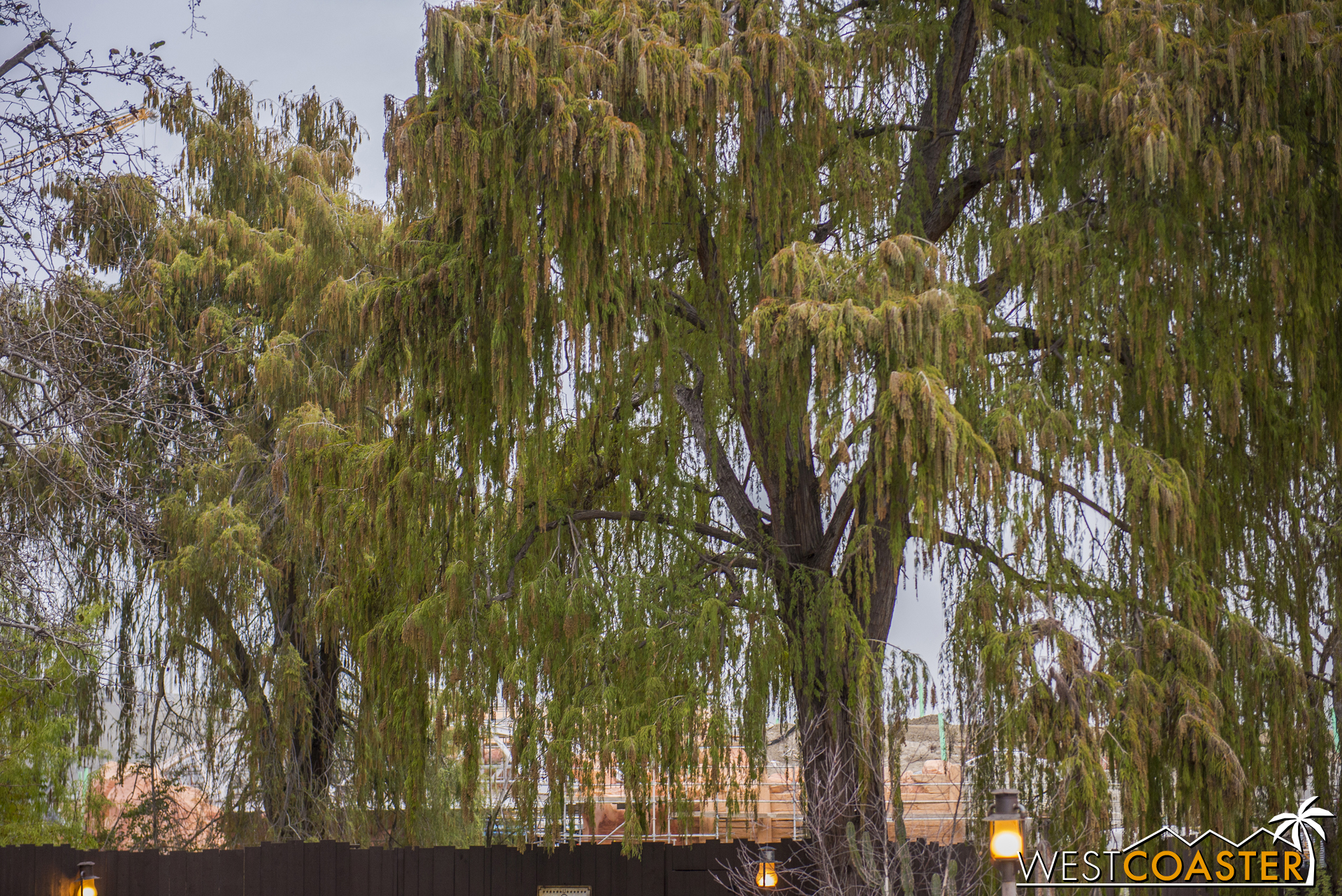  From the dead end at Frontier Crossing, guests can spot a bit of not-Star Wars Land through the trees.&nbsp; The bridge for the train trestle, for example... 