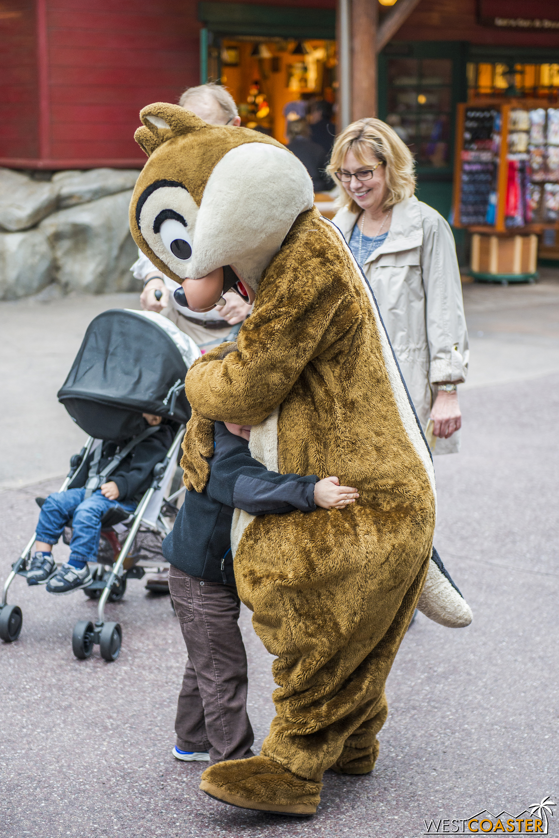  Amusing and sweet, these chipmunks made many a person's day with their enthusiasm and energy and kindness. 