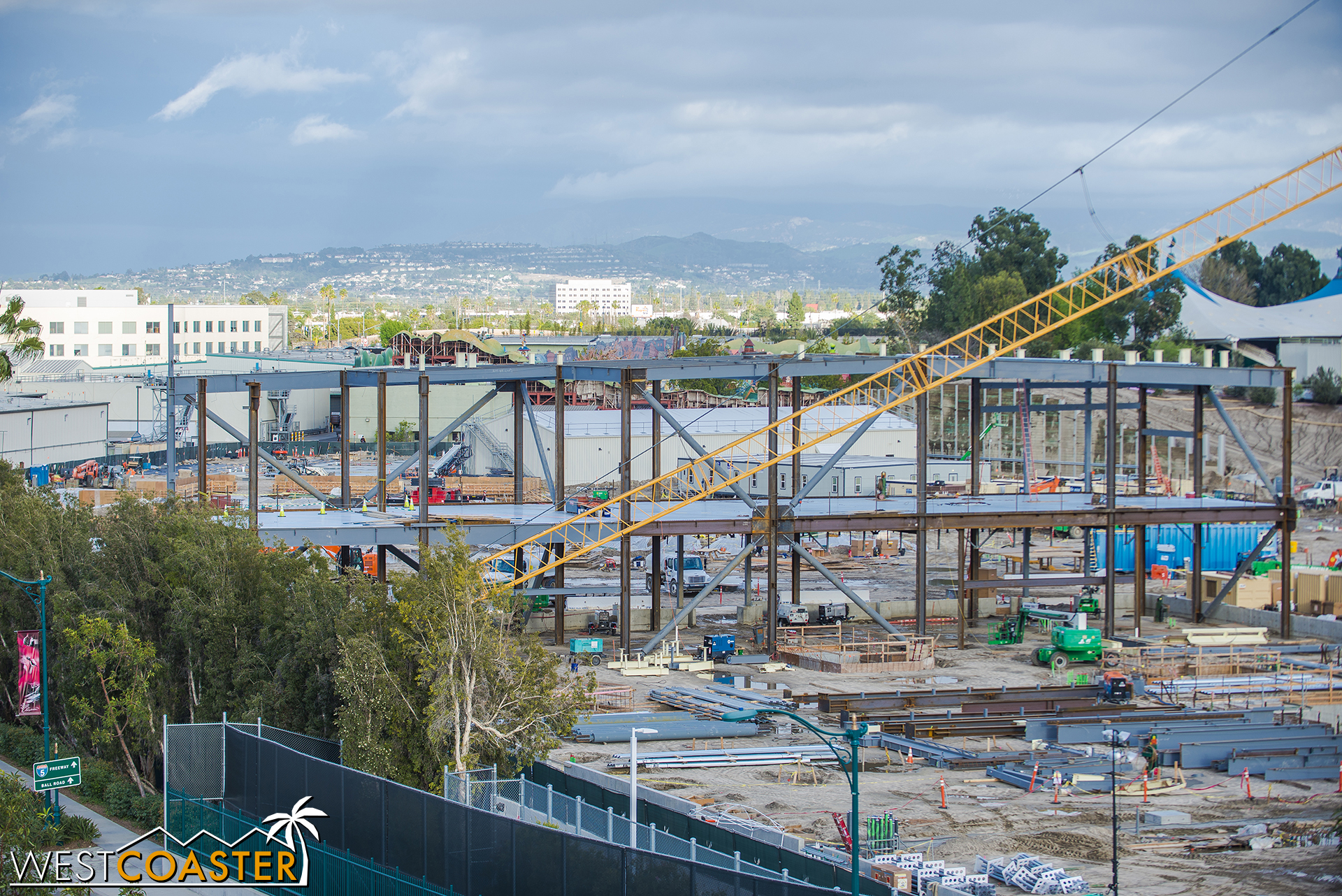 That's right. Construction cranes are like seahorses. The male gives birth.