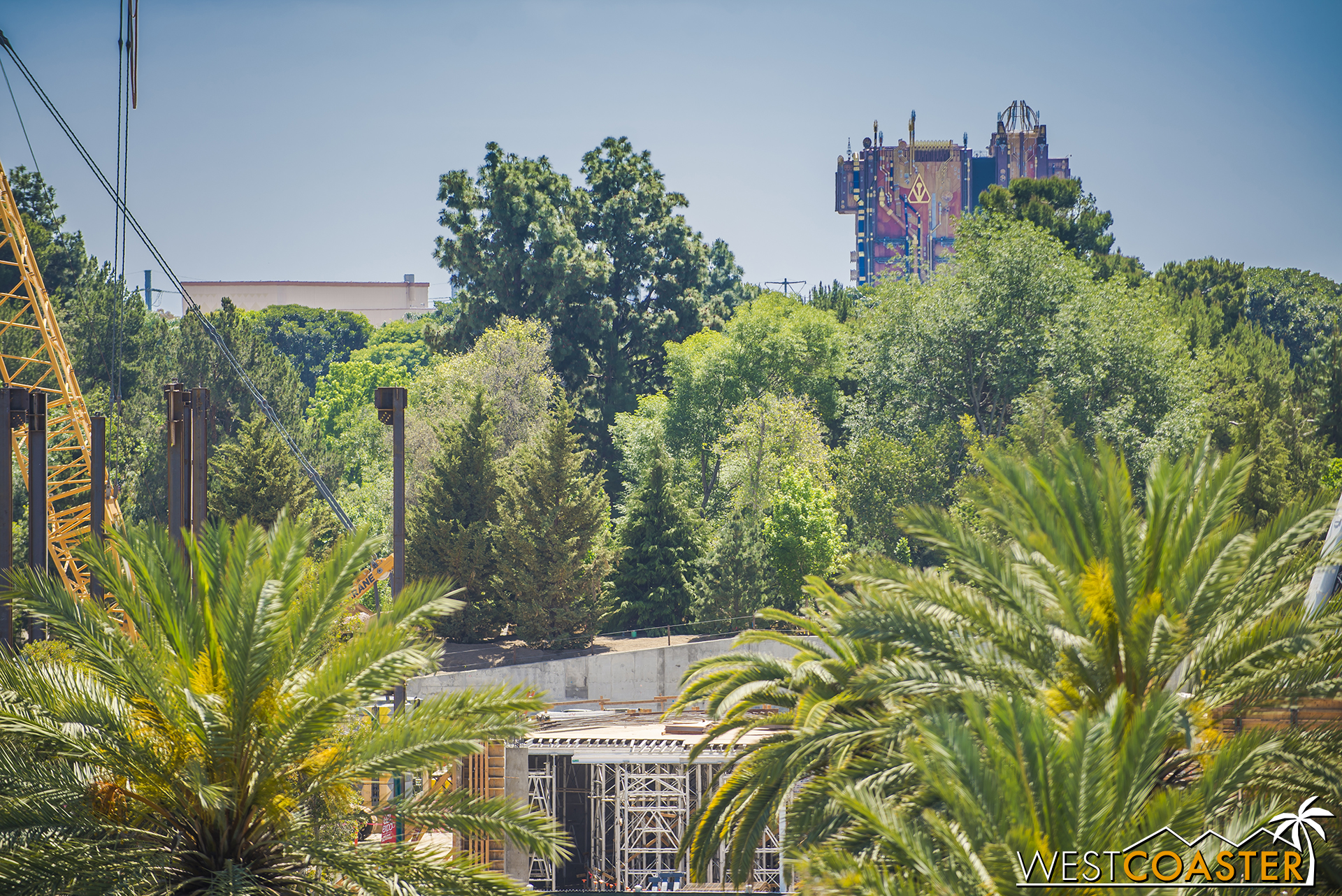  And it seems like the trees separating the Rivers of America from "Star Wars" Land are starting to fill in more and more. 