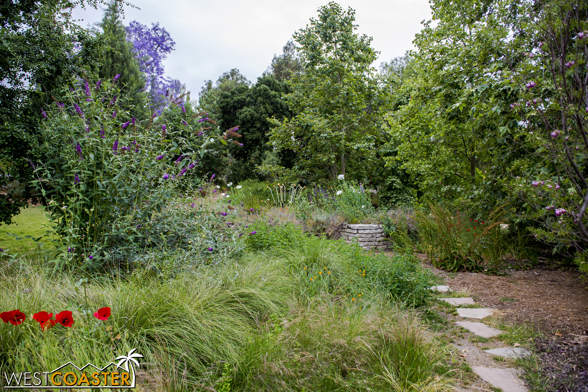 For a garden in a residential setting, the Arlington Garden can feel decidedly natural.