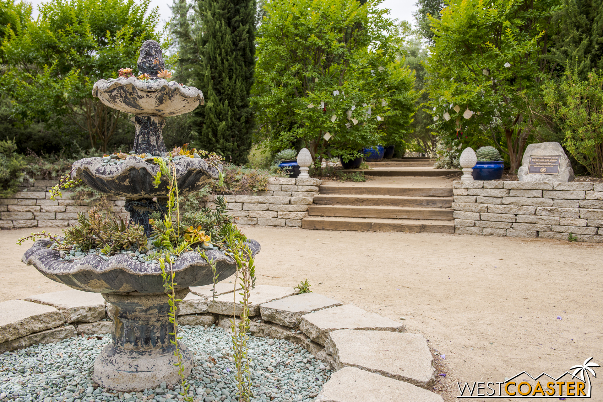A succulent fountain anchors a plaza near the middle of the garden. A pair of wishing trees stand beyond.