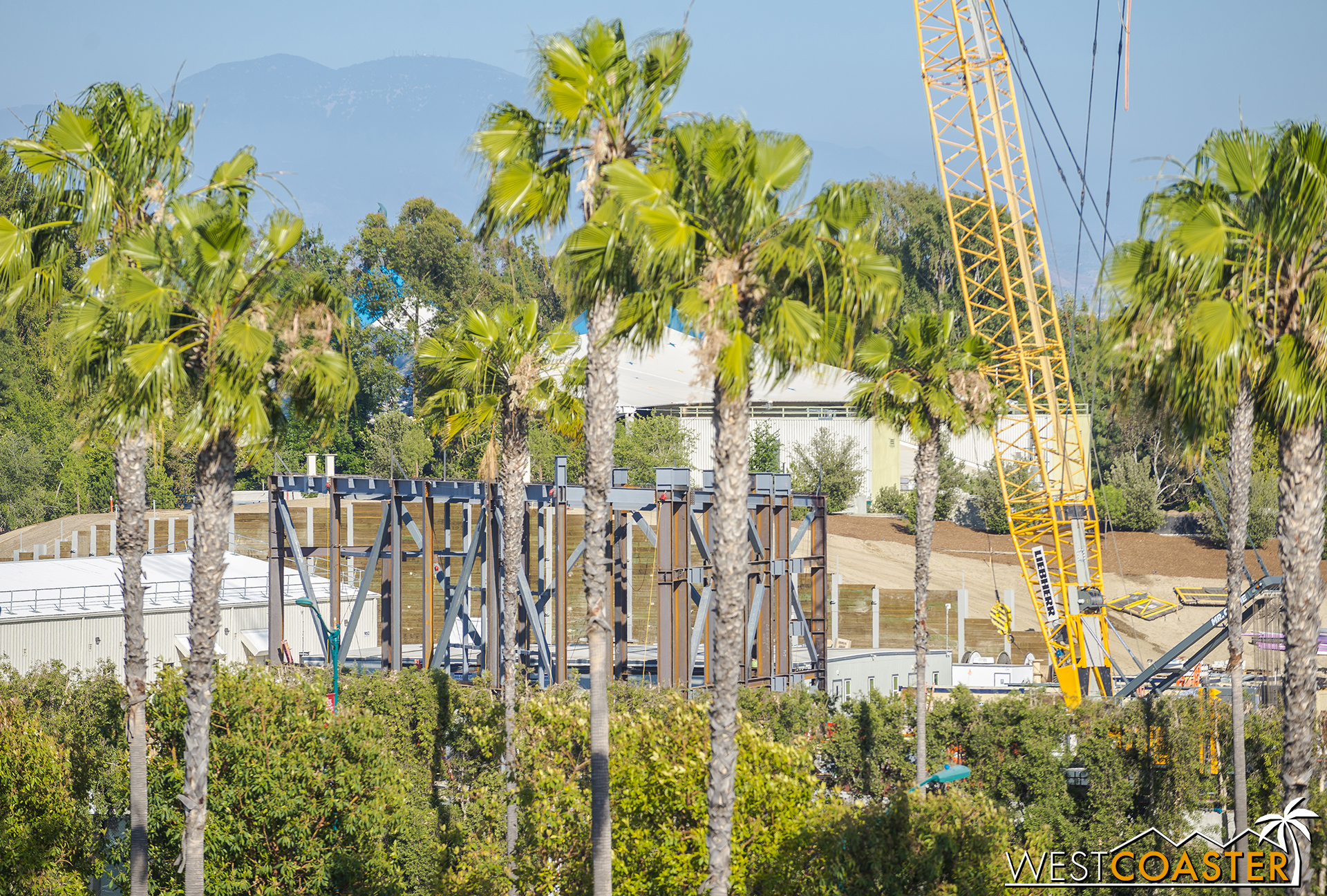  The Millennium Falcon attraction has gone vertical, with several braced frames and steel structure being erected on the future pedestrian side of "Star Wars" Land. 