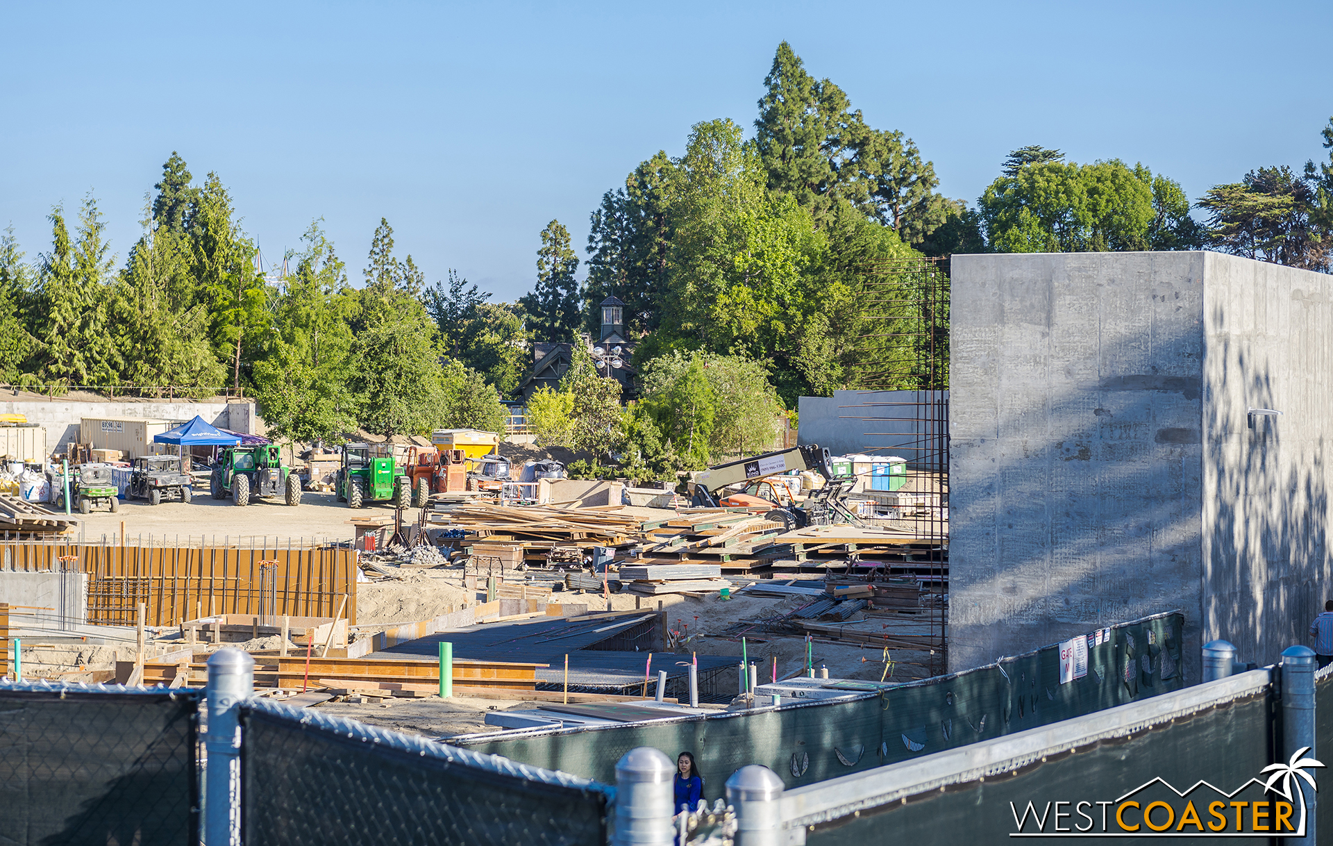  Looking south on the site. 