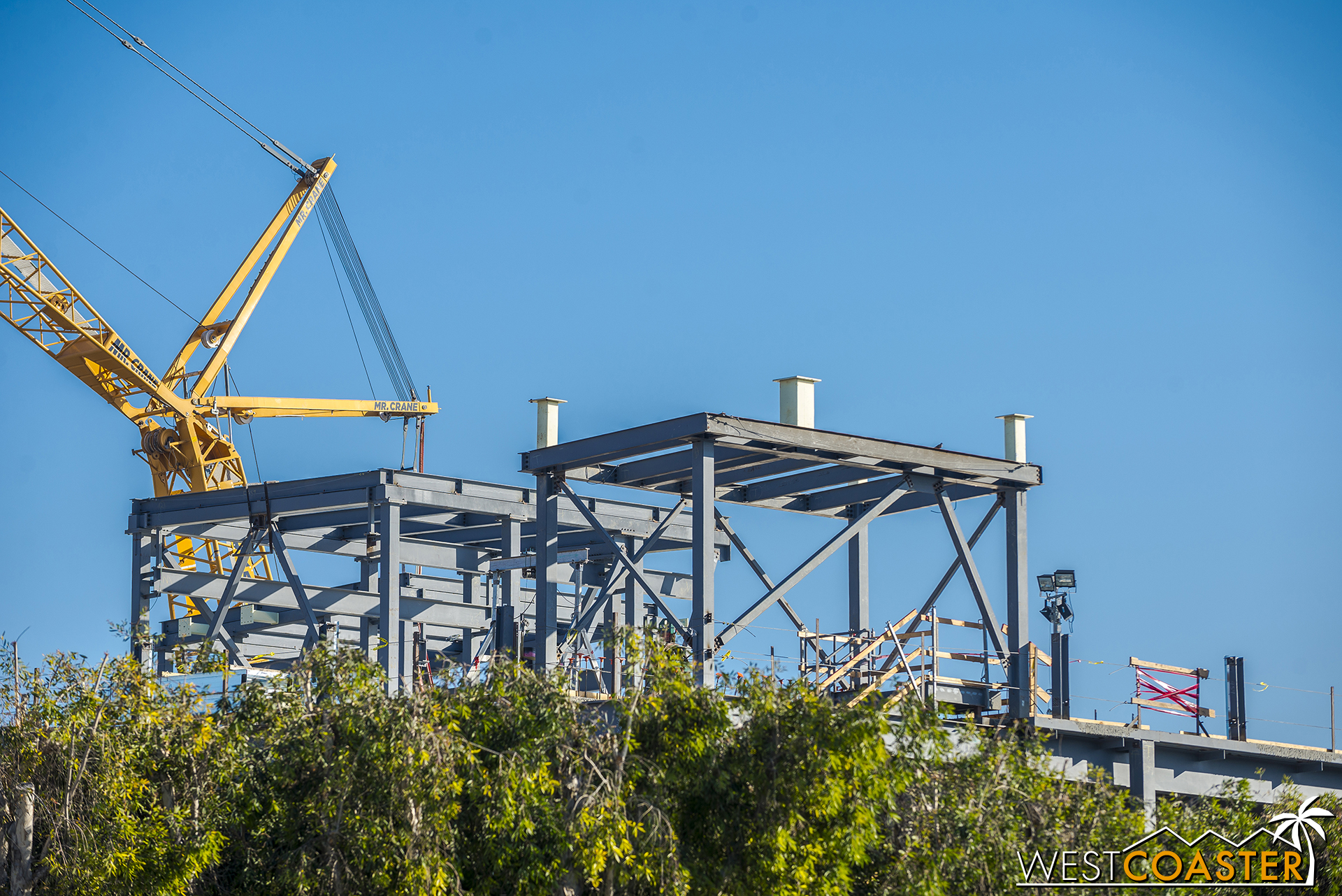  Two penthouses poking above the treeline. 