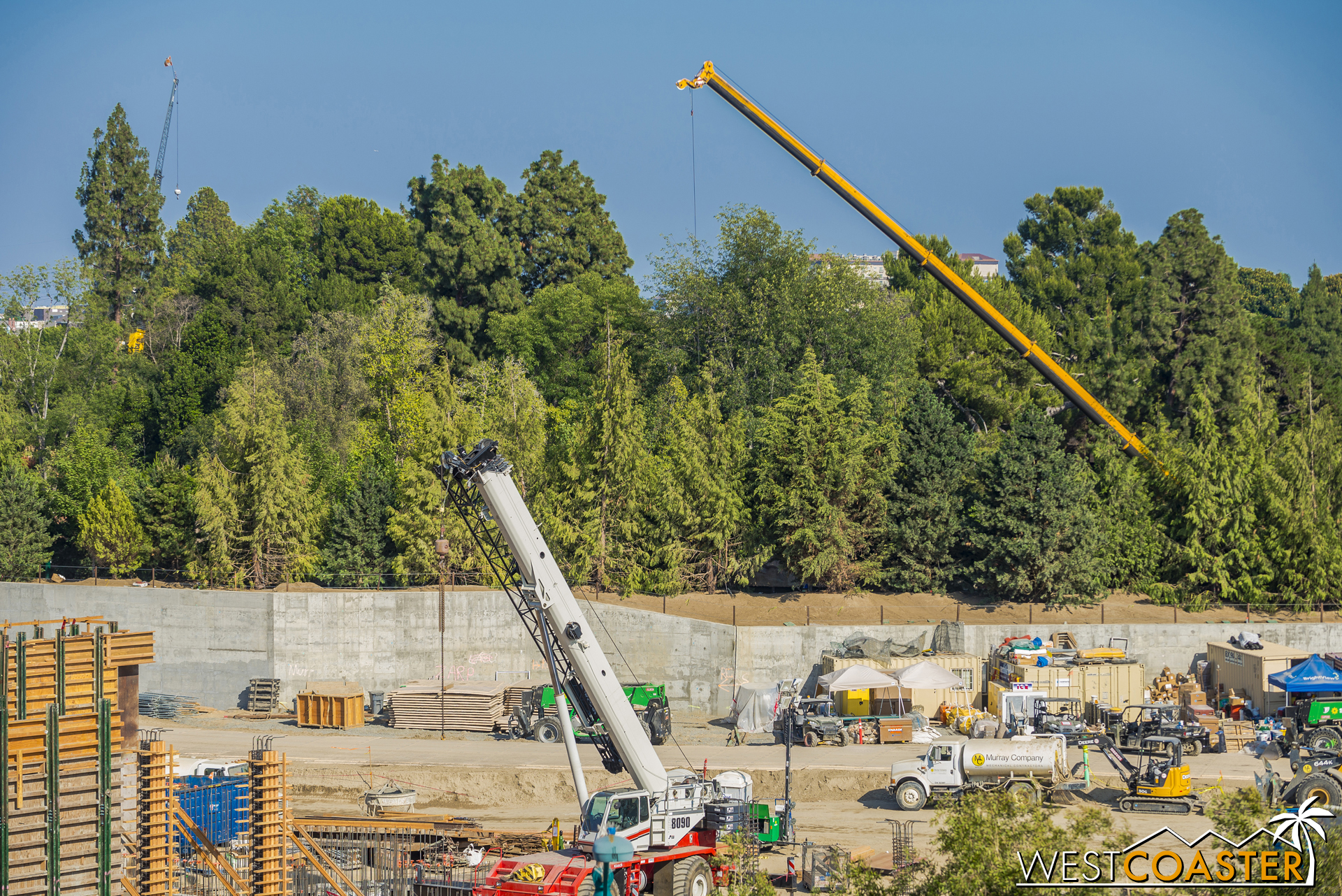  Another crane along the Critter Country side of the Rivers of America has appeared. 