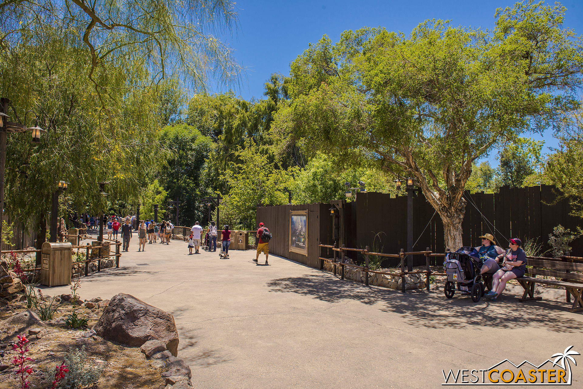  This work wall covers the Frontierland entrance into "Star Wars" Land. 