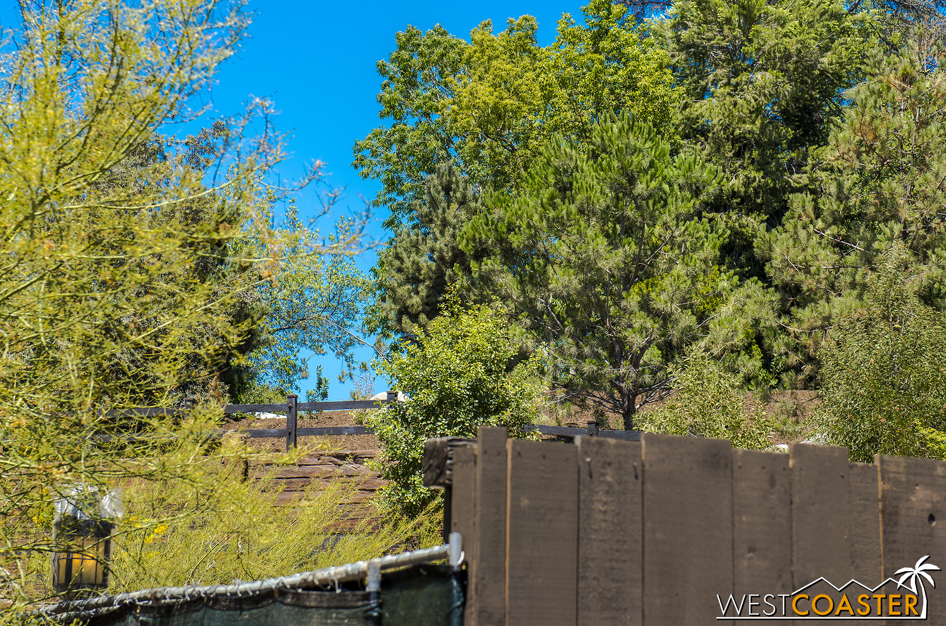  Up over that berm, the Disneyland Railroad will turn left toward Fantasyland Theater and Toontown. 