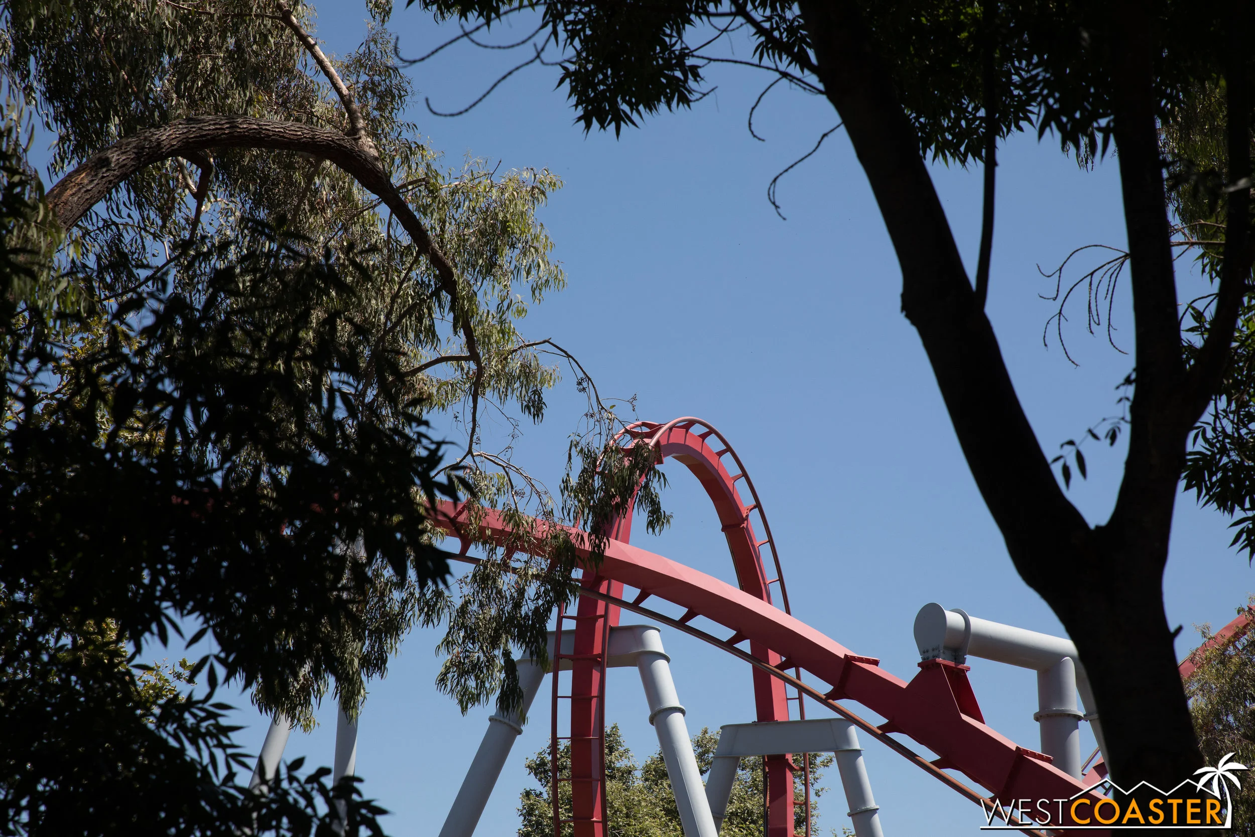 After all the food, it's good to walk around and check out CGA. It's a really beautiful park...