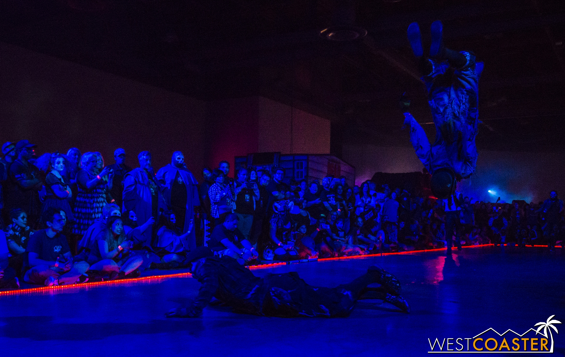  The first show features a variety of tricks, including this incredible crowd-amazer with Eerie flipping over Seaweed. 