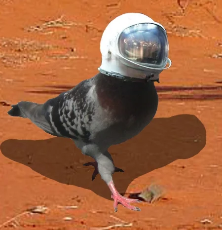 Pigeon in space... duh. 