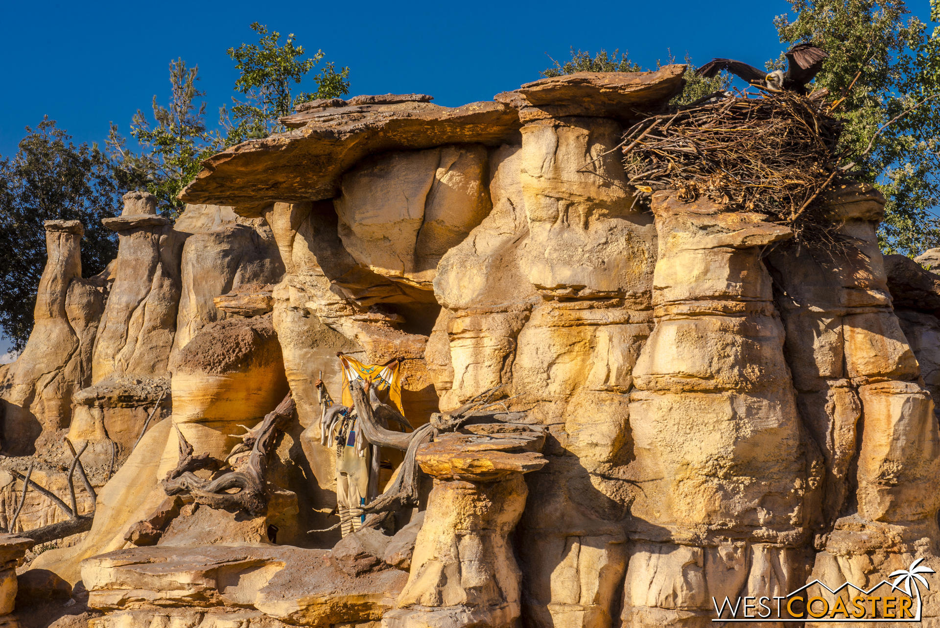  Perched in perfect balance at the edge of the nest, the eagle demonstrates the core control that DizFitters should aspire to. 