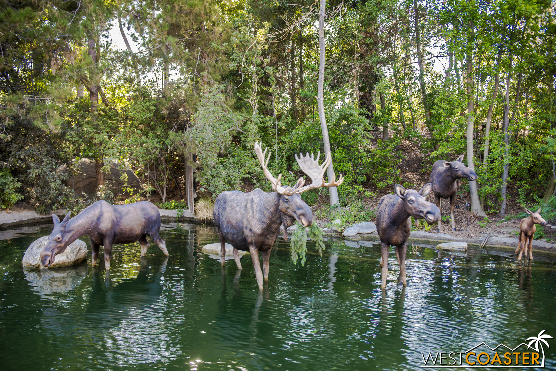  As we continue along, we spot moose along Tom Sawyer Island, perfect for weight lifting, as DizFitters are apt to do. 