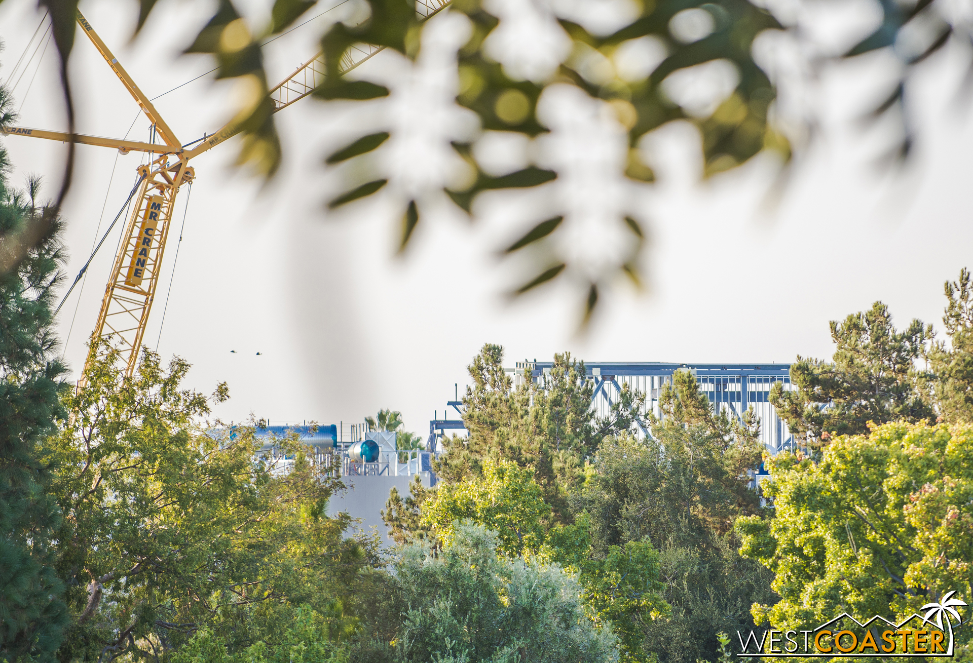  The First Order building pokes through the trees too. 