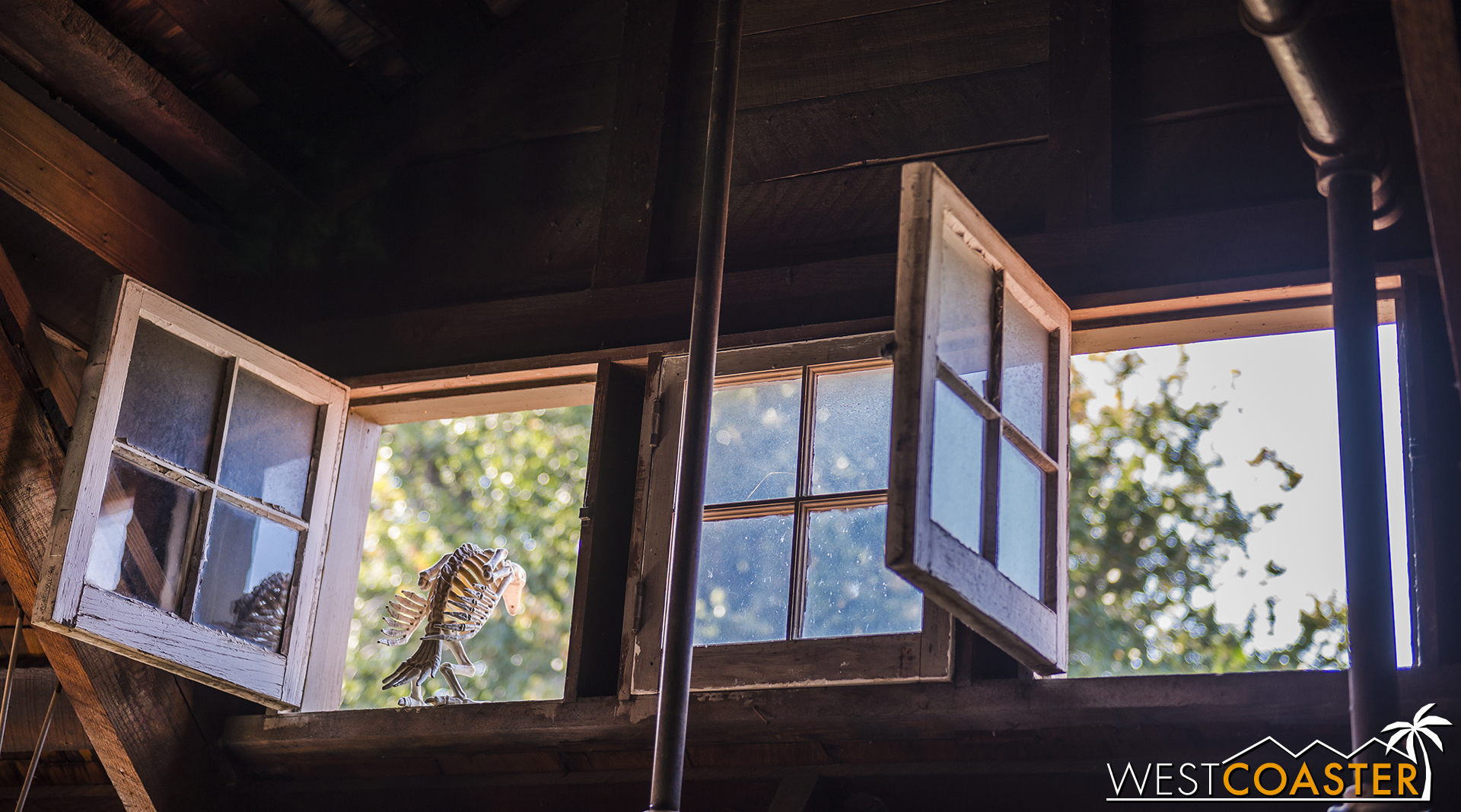  A skeletal bird perches on an open window in the loft. 