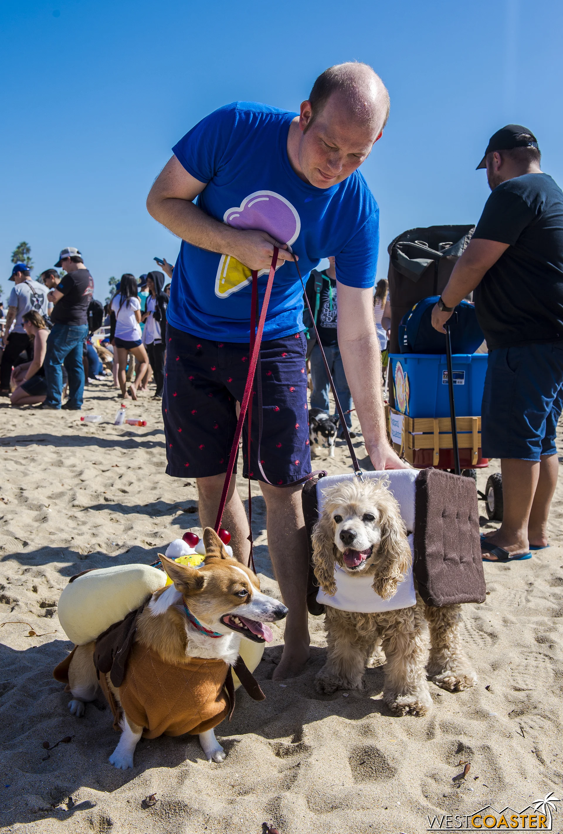 Some of the costumes were elaborate and home-made! Kudos to the dog owners for their love and commitment to their pups.