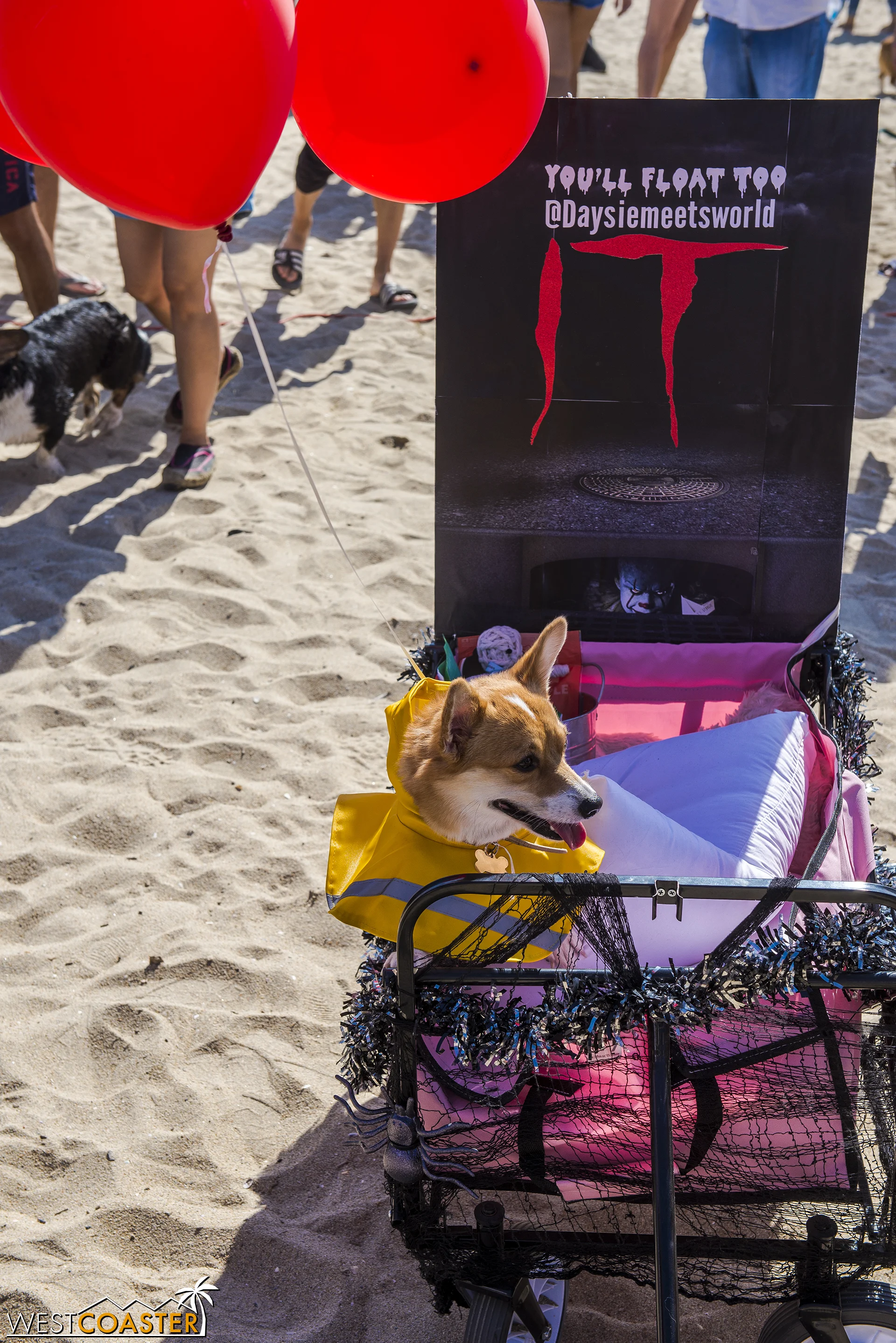 Daysie was a costume contest winner last year. This year, she was posing for meet and greets.