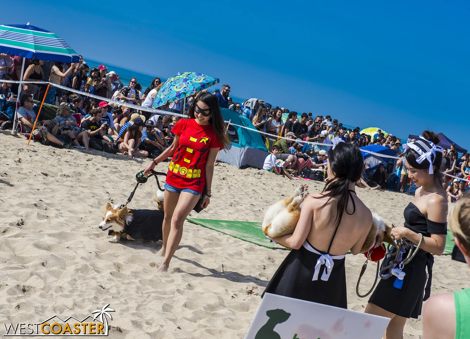 Owners paraded their dogs through the Corgi Halloween Costume Contest.