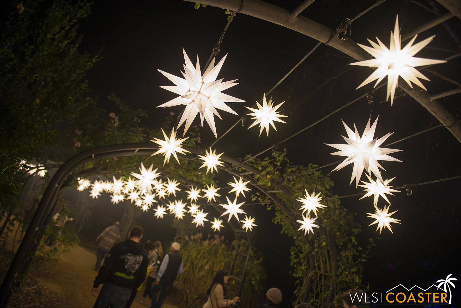 Hanging star-shaped lamps provide a celestial feel to the Rose Garden.
