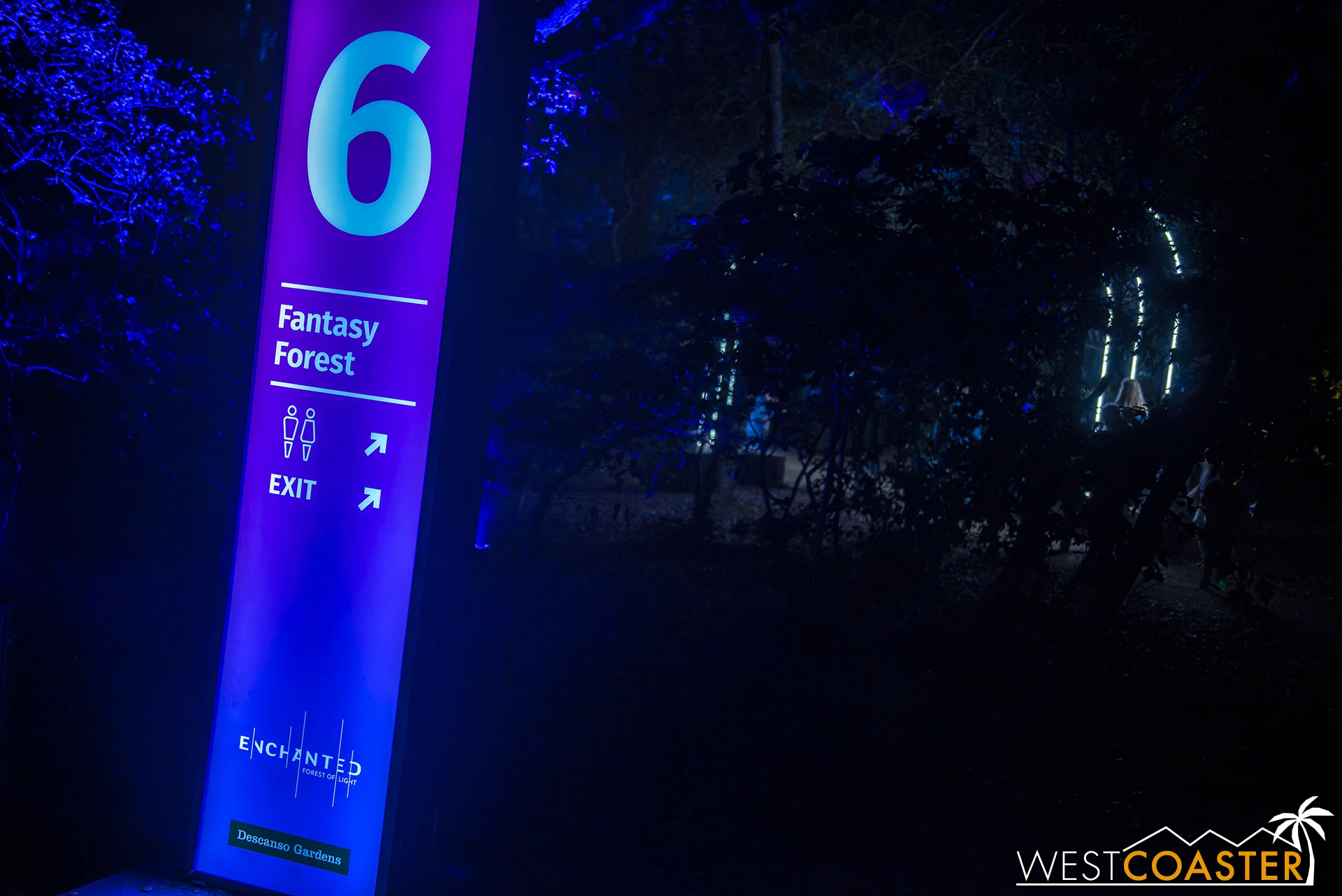 Descanso-17_1201-06-FantasyForest-0000a.jpg