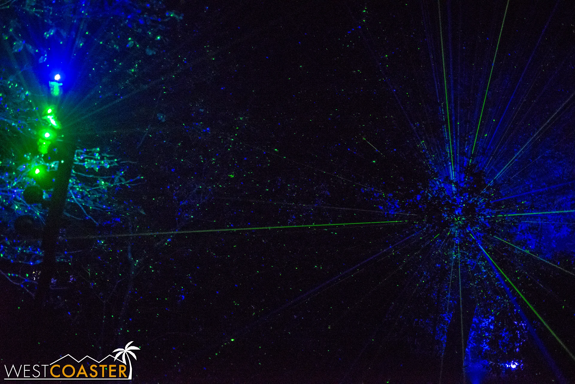 A laser firefly field cast onto the trees creates a green, starry canopy.
