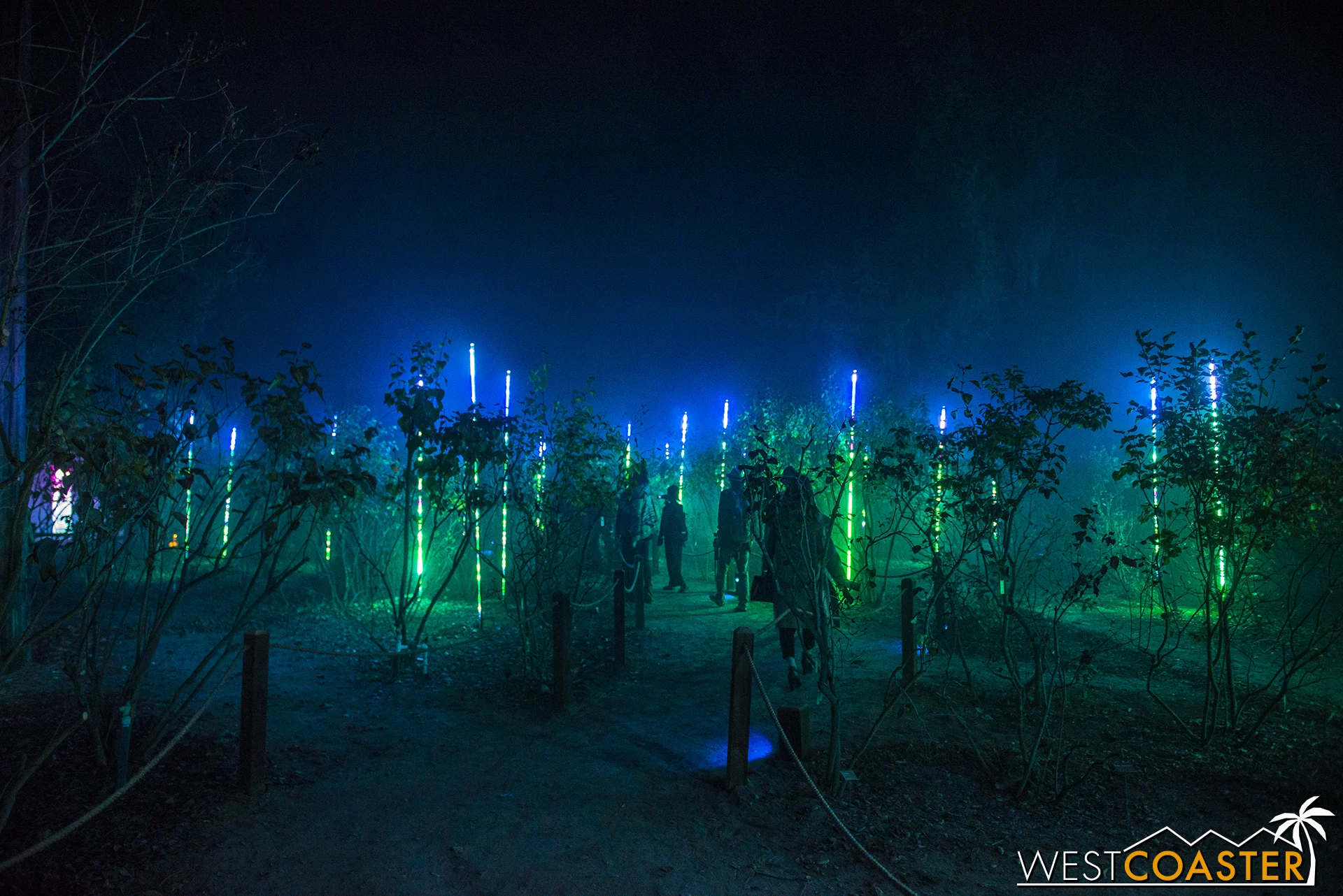 Rods of light cover what is normally the Lilac Garden.