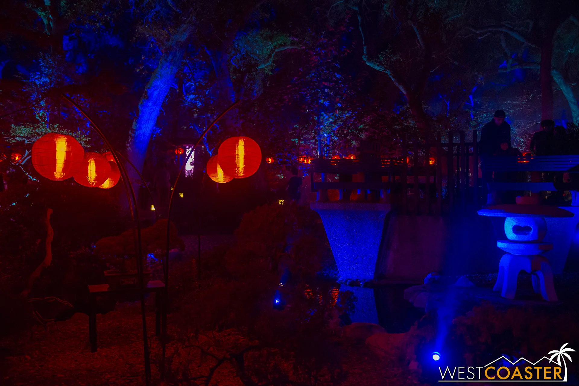 Red lanterns litter the Japanese Garden and give it a warm, passionate light.
