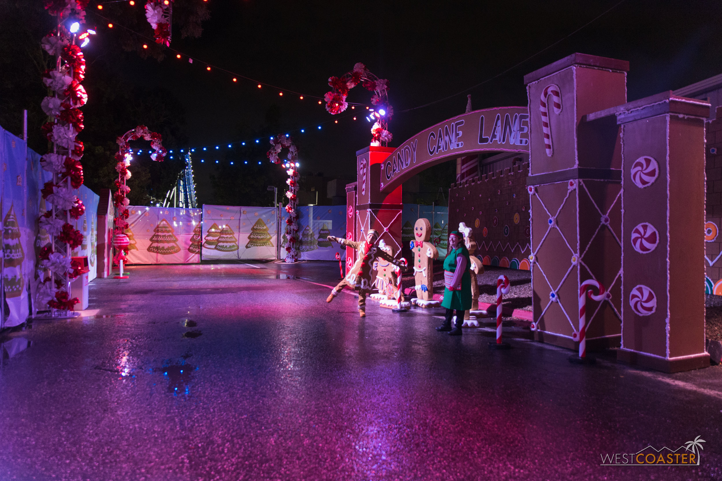 CGA Winterfest-19.jpg