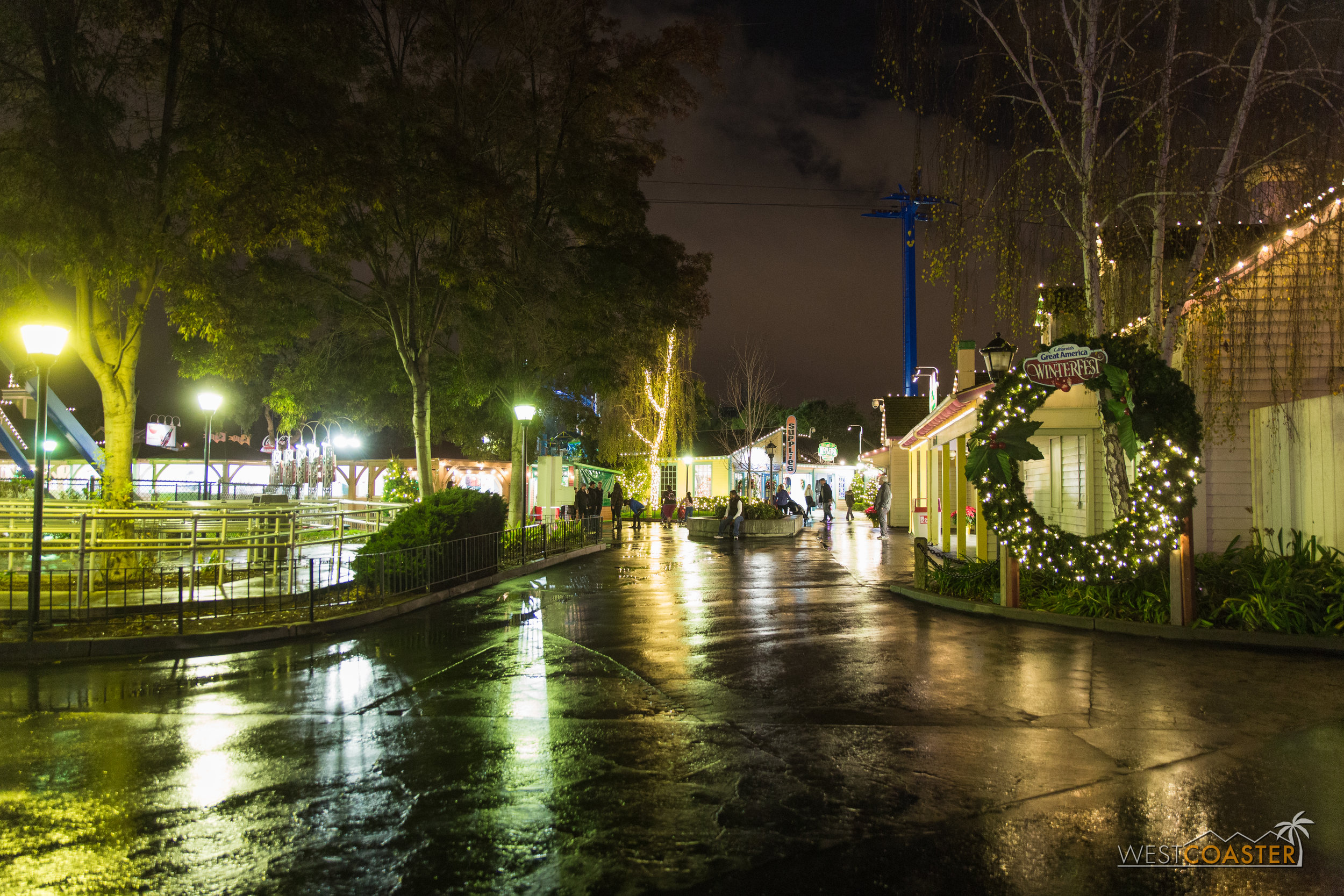 CGA Winterfest-21.jpg