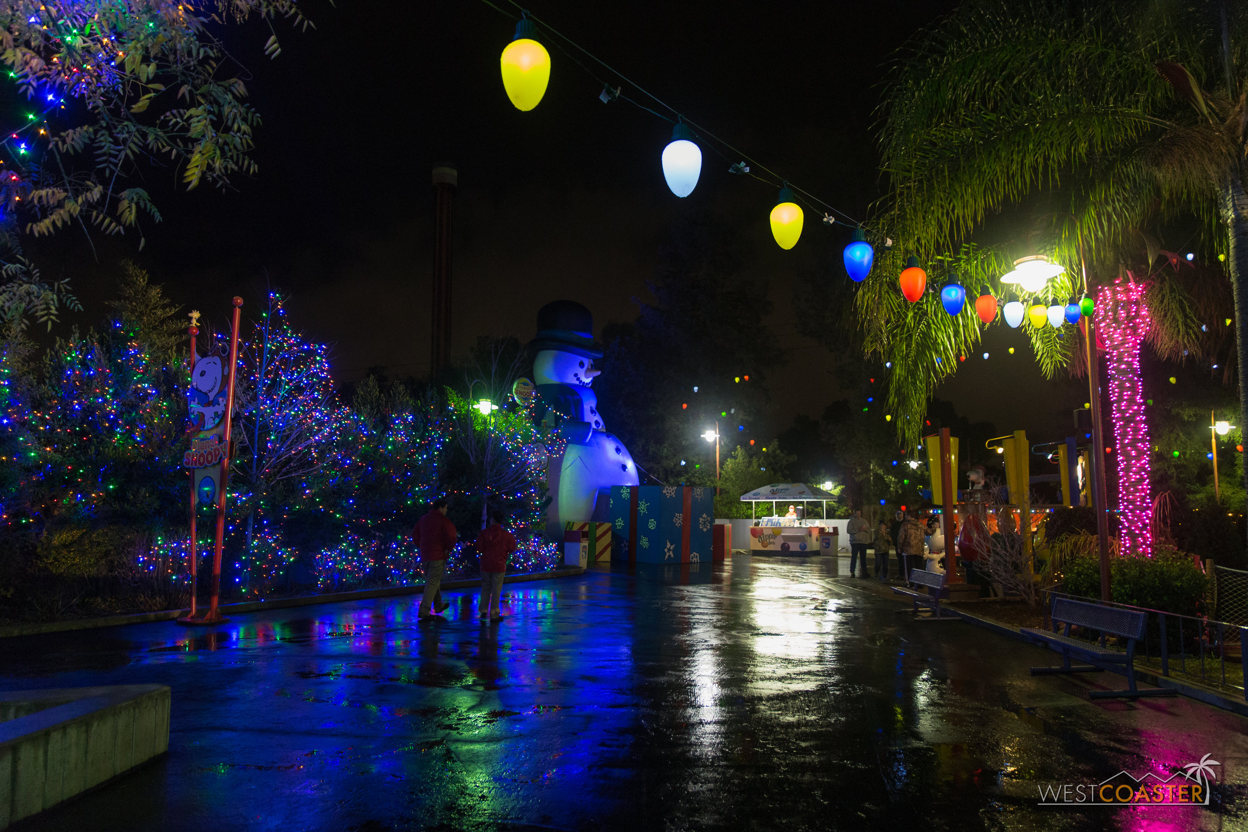 CGA Winterfest-40.jpg