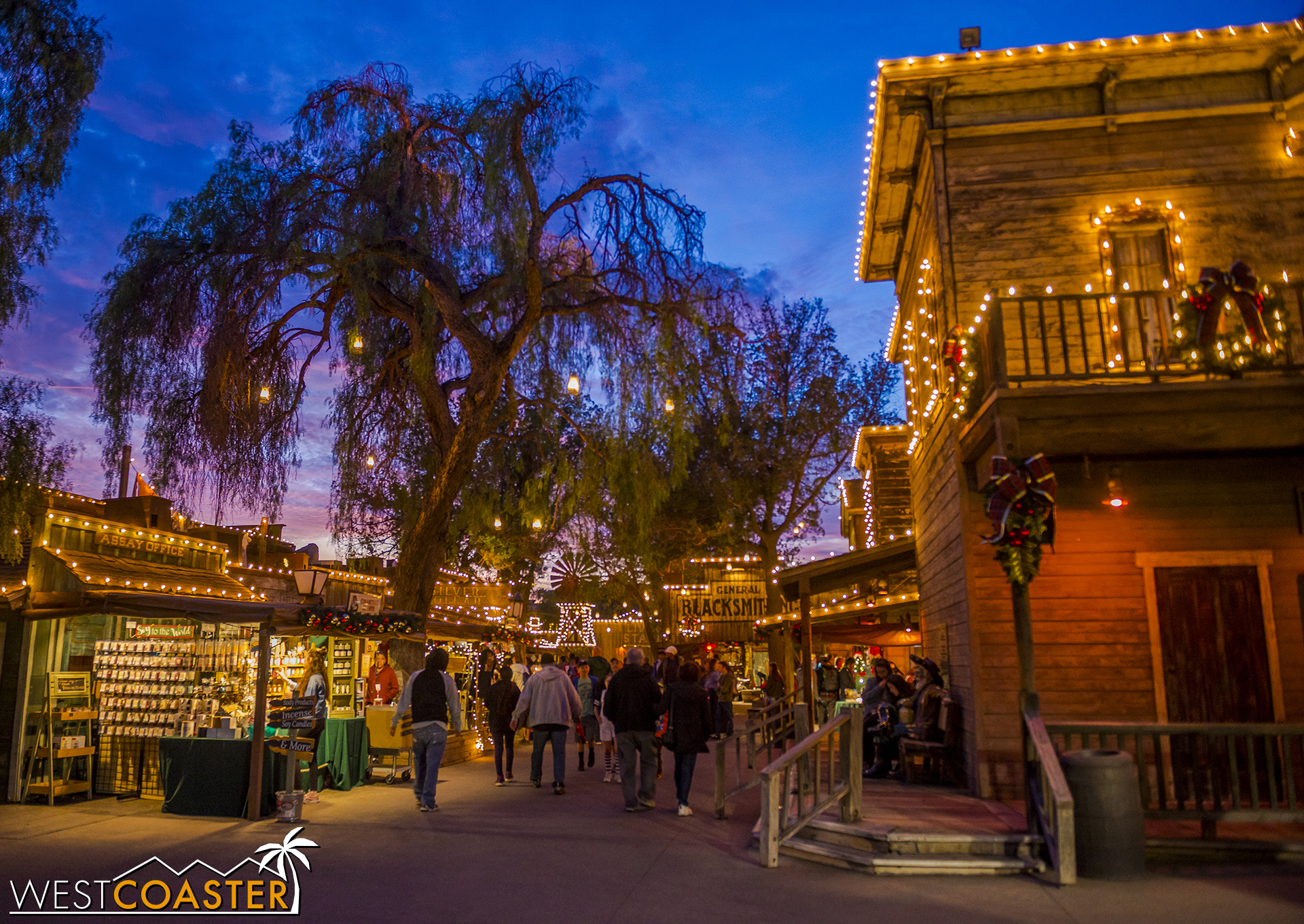  It's a unique and magical moment each evening in the park. 